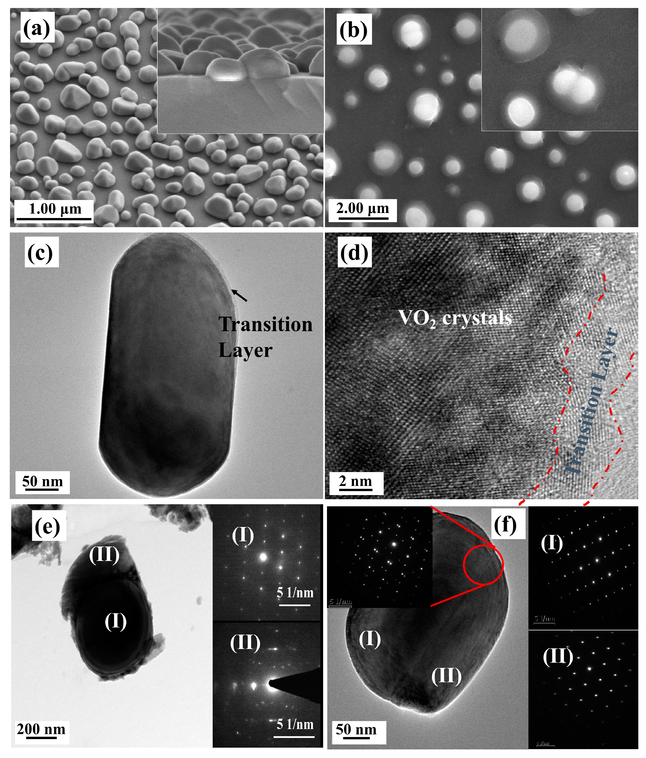 Nanomaterials 09 00549 g006
