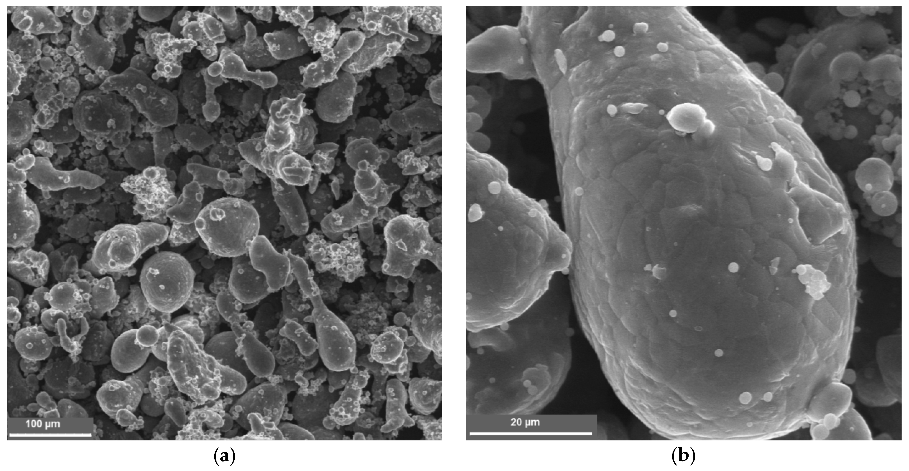 Nanomaterials 09 00550 g001