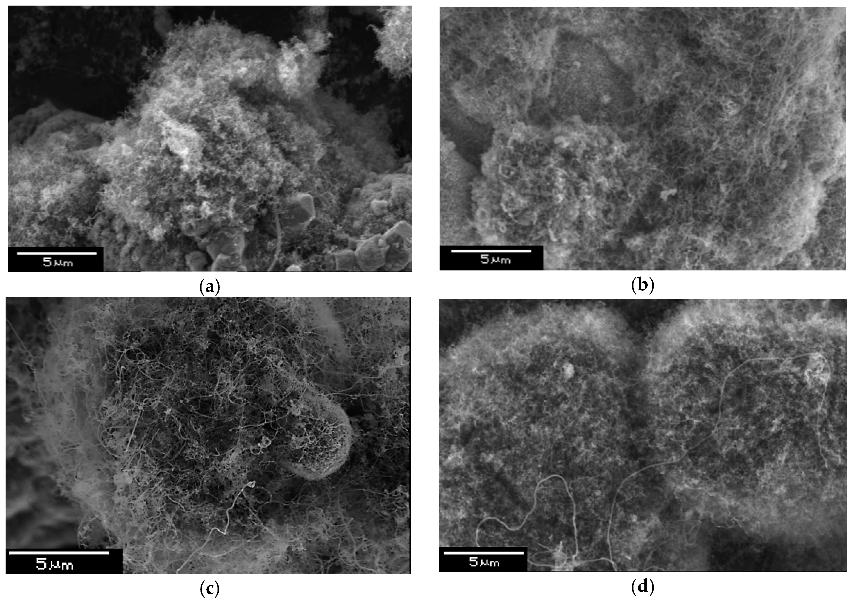 Nanomaterials 09 00550 g006