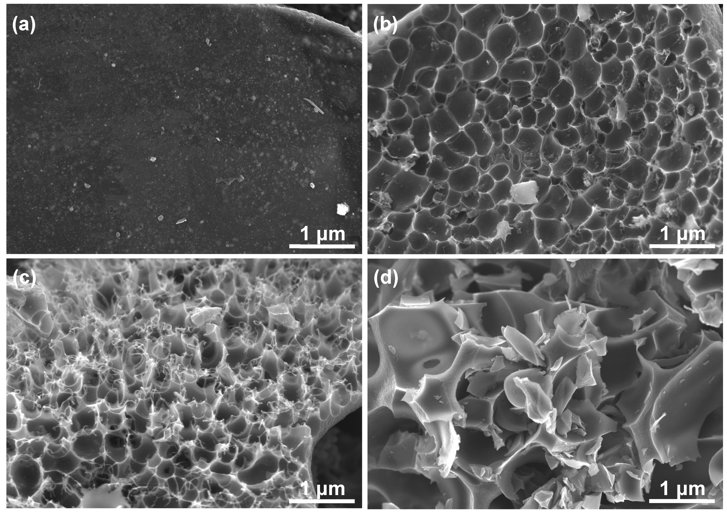 Nanomaterials 09 00553 g002 Nanomaterials 09 00553 g002