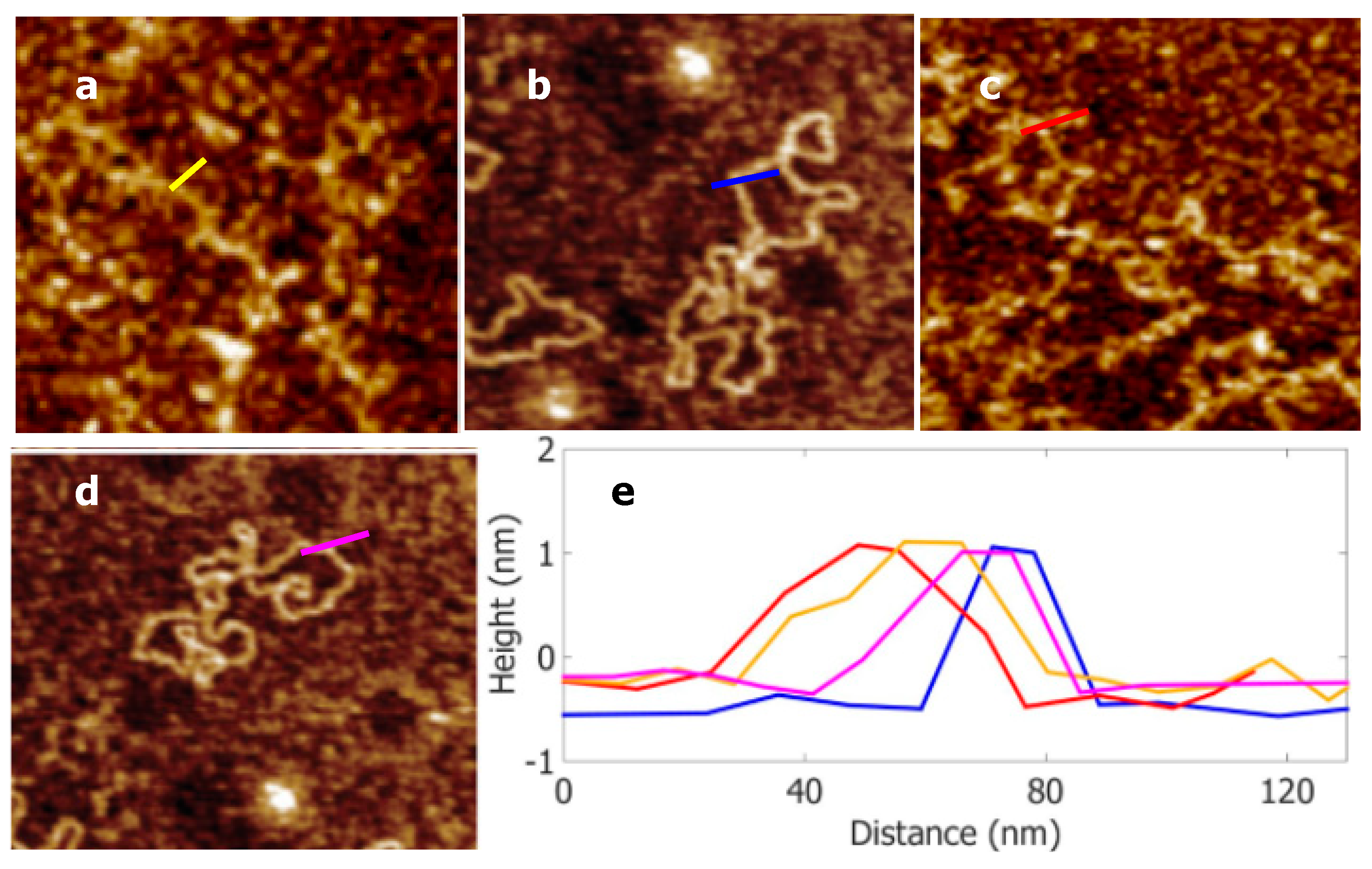 Nanomaterials 09 00561 g003