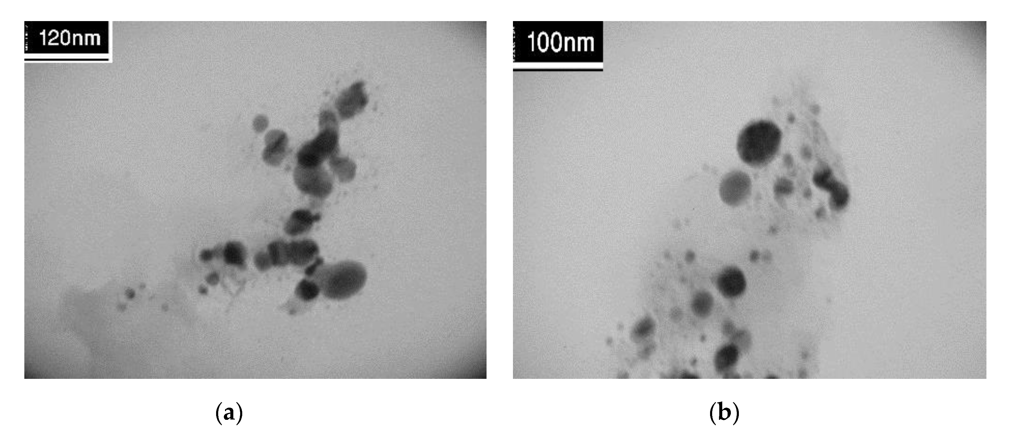 Nanomaterials 09 00565 g005