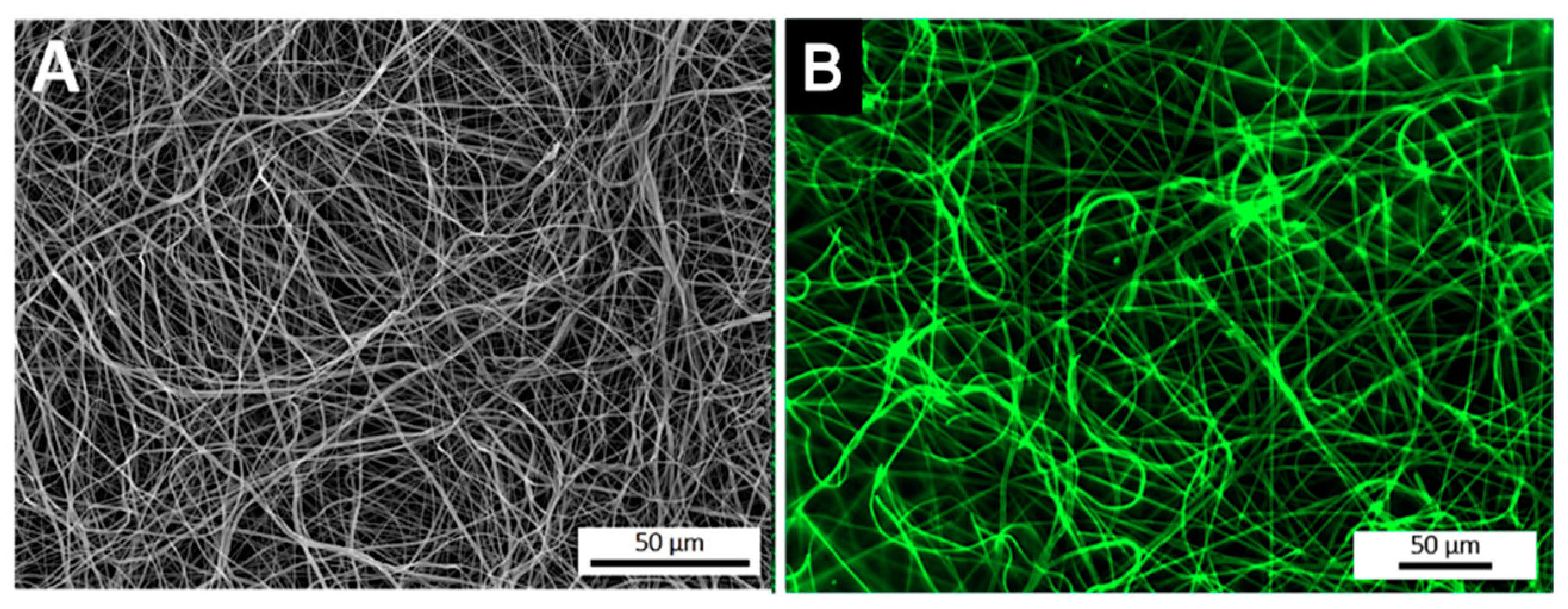 Nanomaterials 09 00567 g002