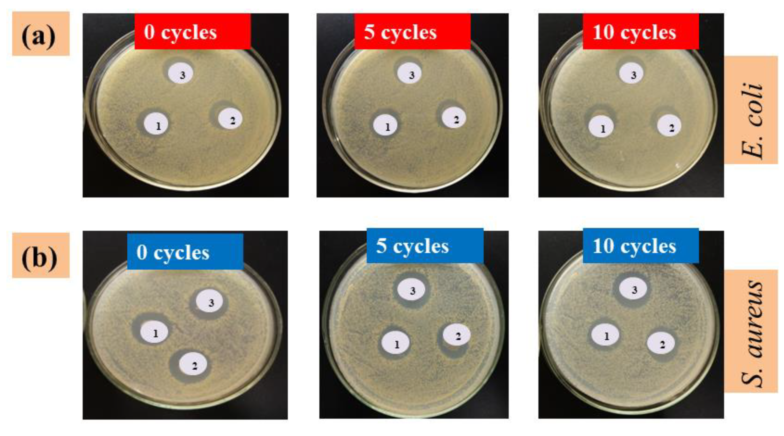 Nanomaterials 09 00569 g008
