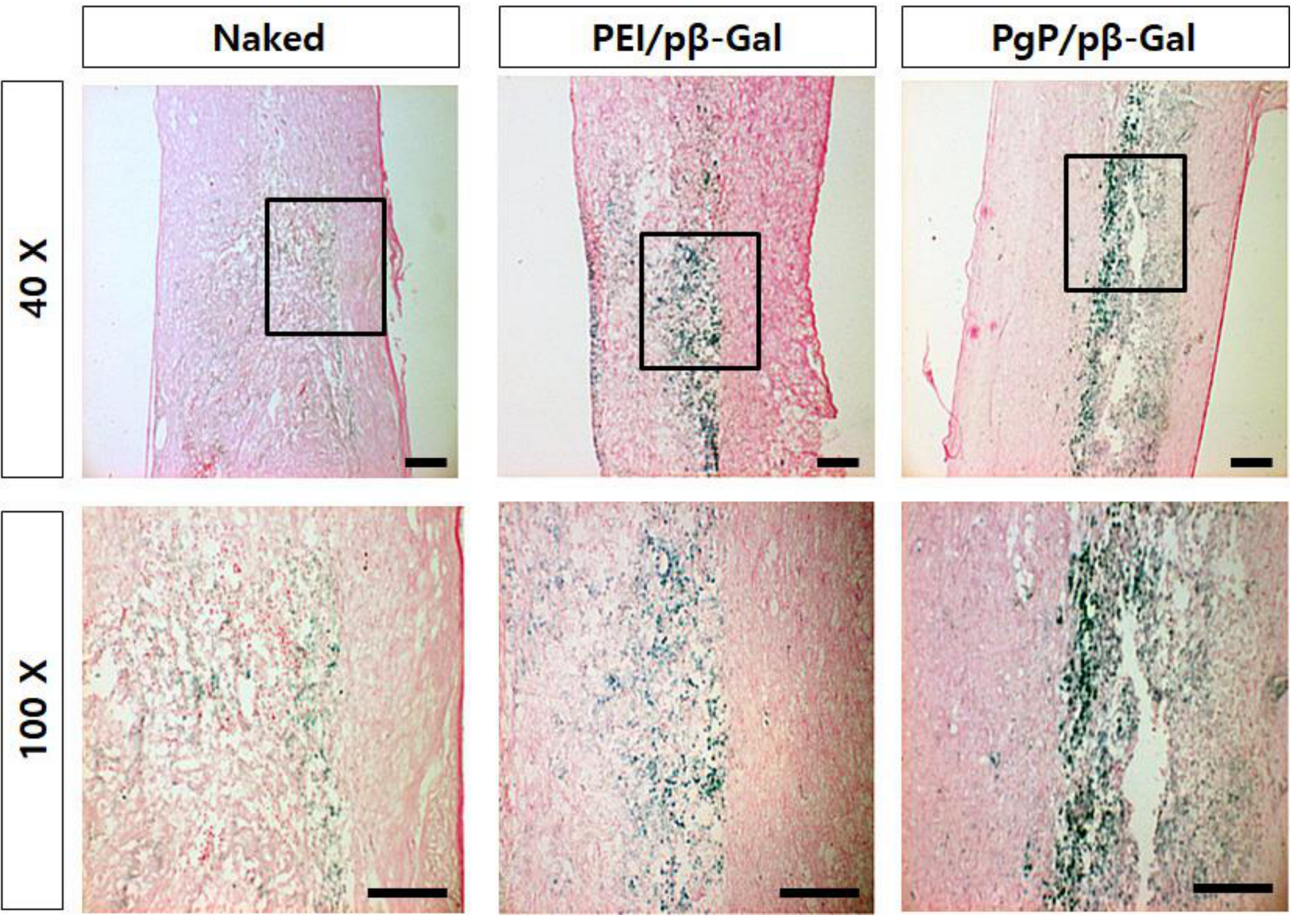 Nanomaterials 09 00573 g006 Nanomaterials 09 00573 g006
