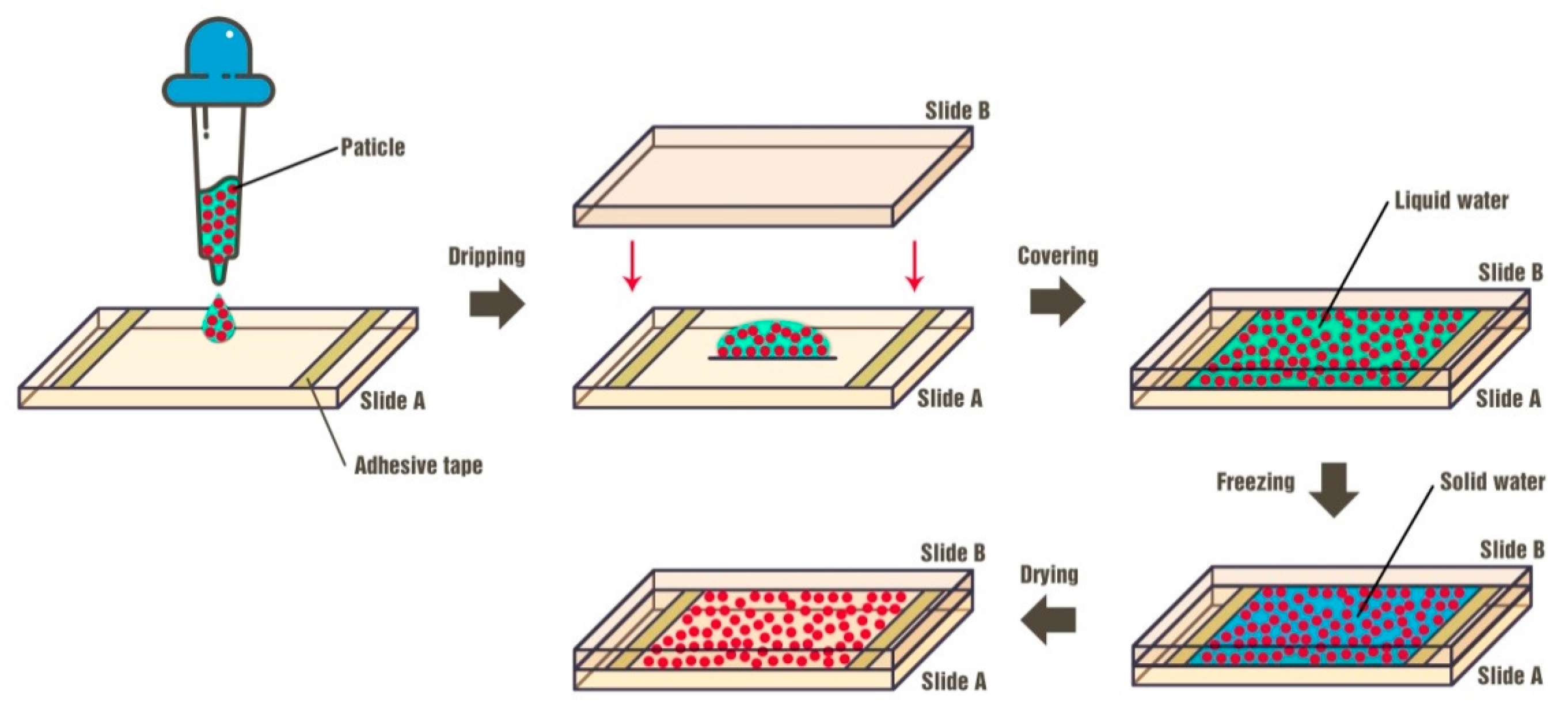 Nanomaterials 09 00575 g001 Nanomaterials 09 00575 g001