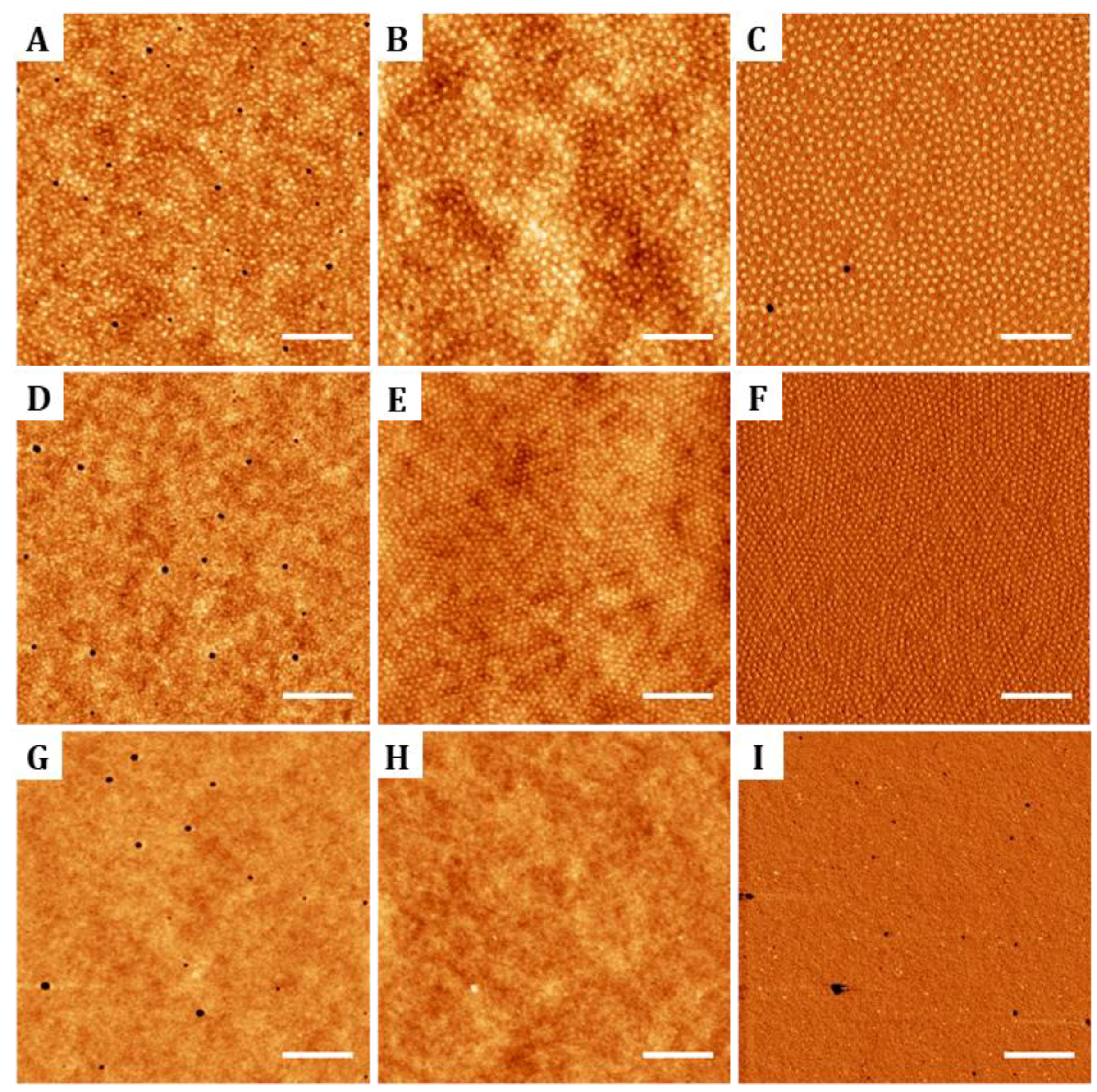 Nanomaterials 09 00579 g001
