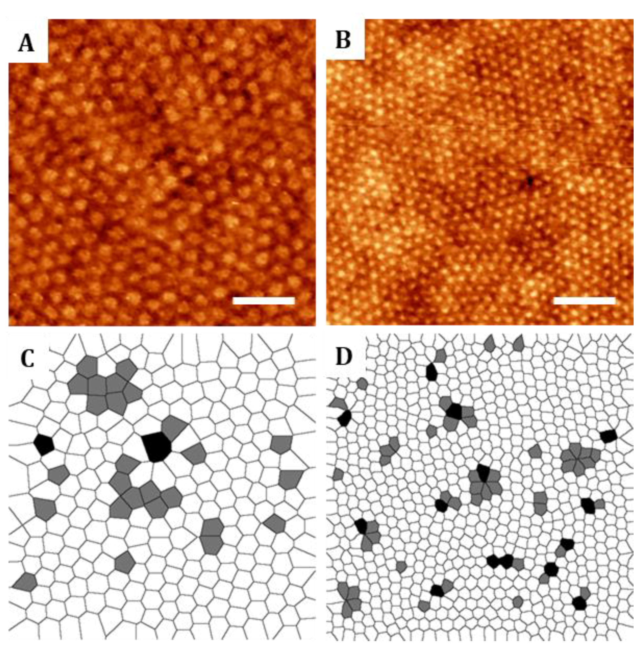 Nanomaterials 09 00579 g002