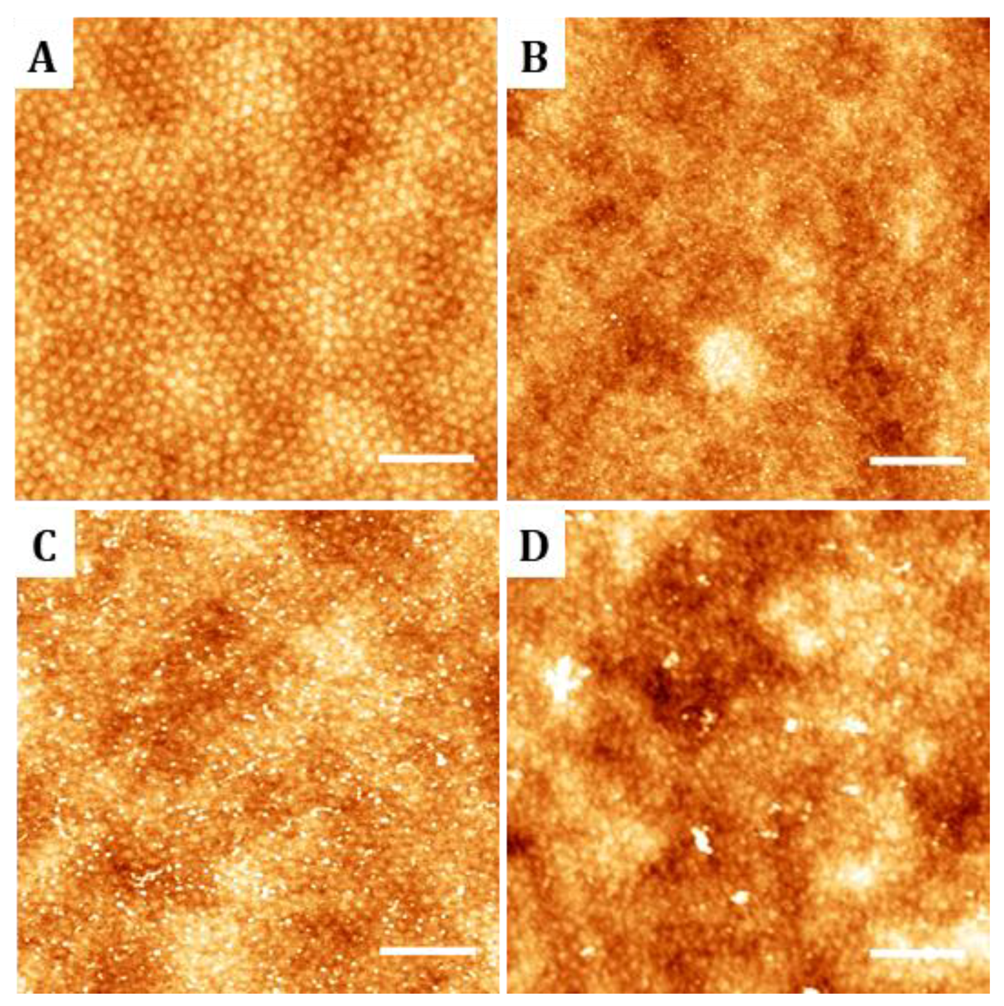 Nanomaterials 09 00579 g003