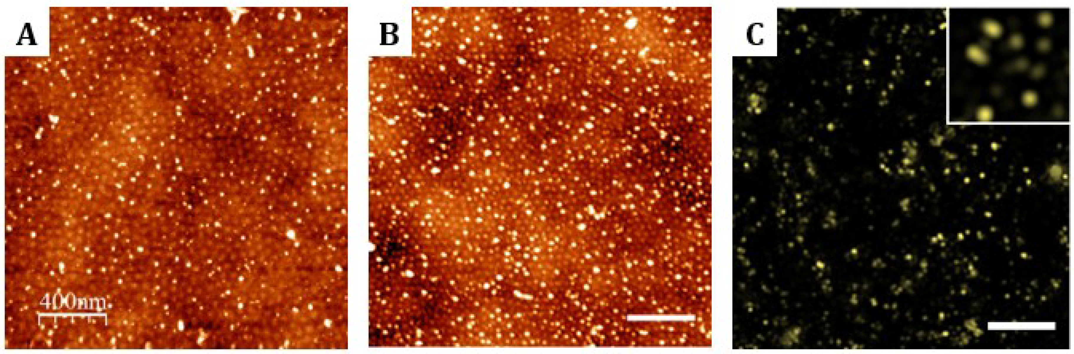 Nanomaterials 09 00579 g004