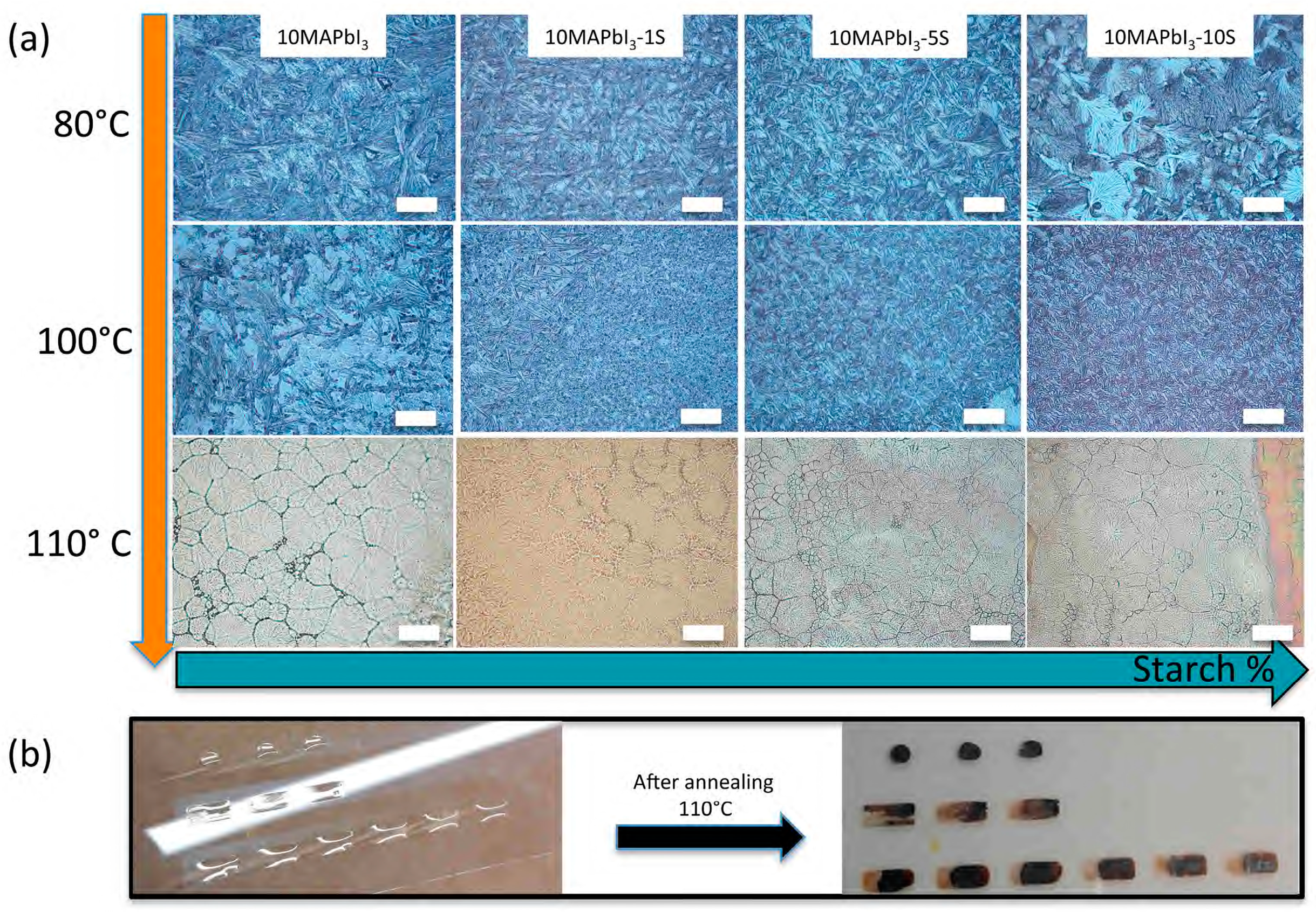 Nanomaterials 09 00582 g004