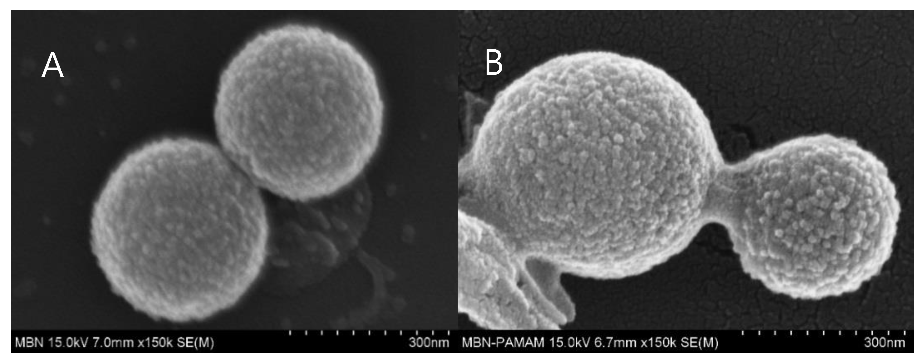 Nanomaterials 09 00591 g004