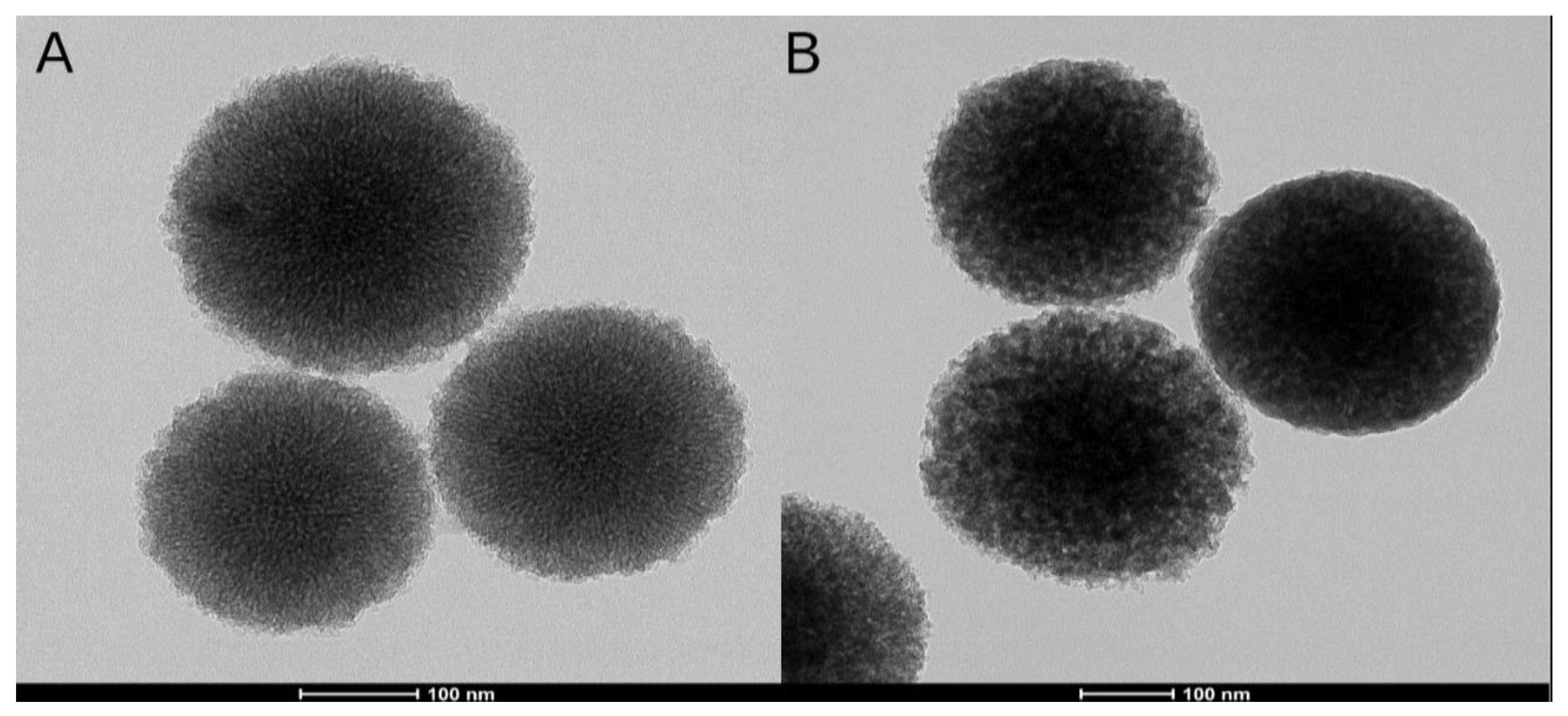 Nanomaterials 09 00591 g005