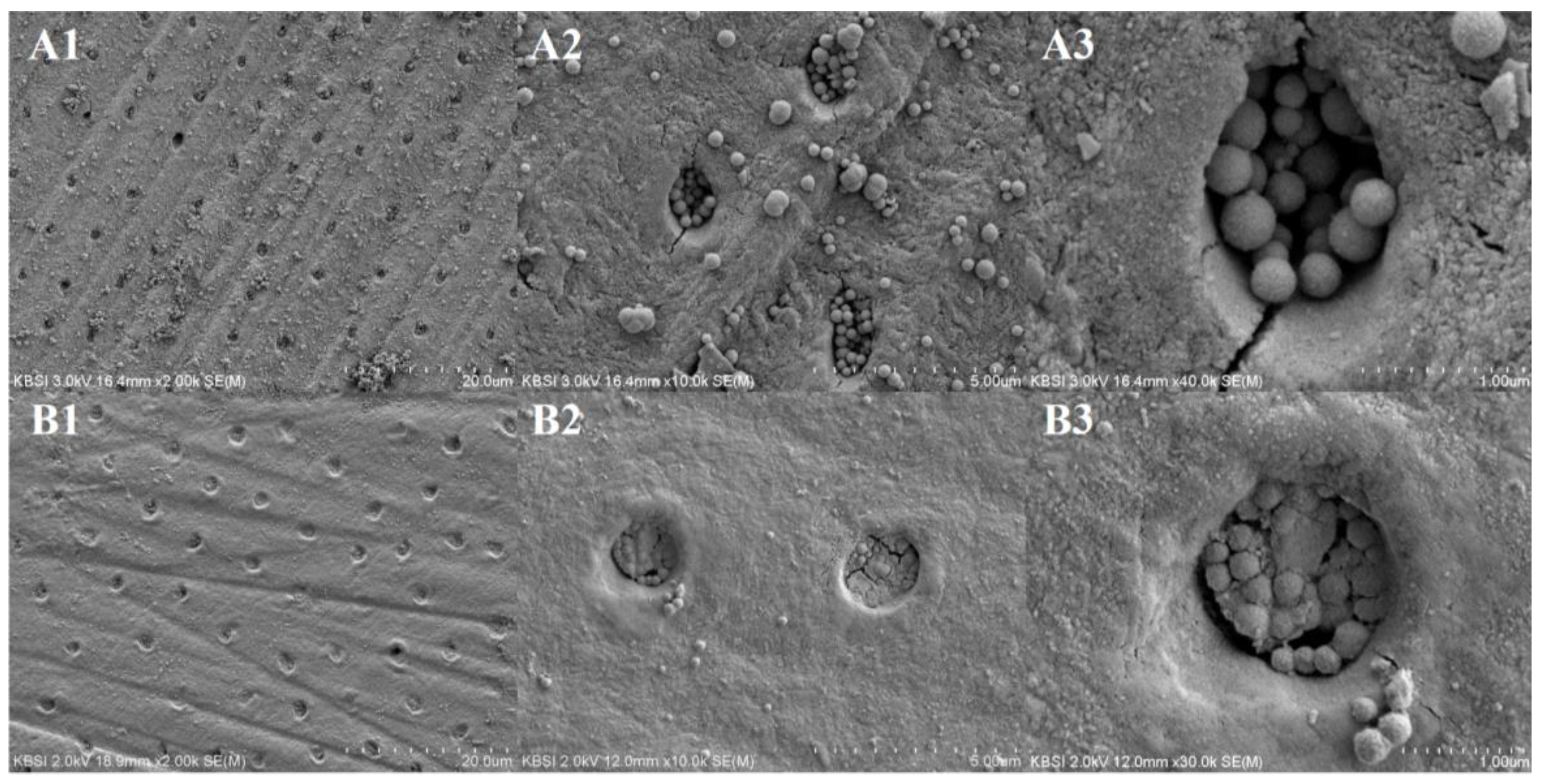 Nanomaterials 09 00591 g010
