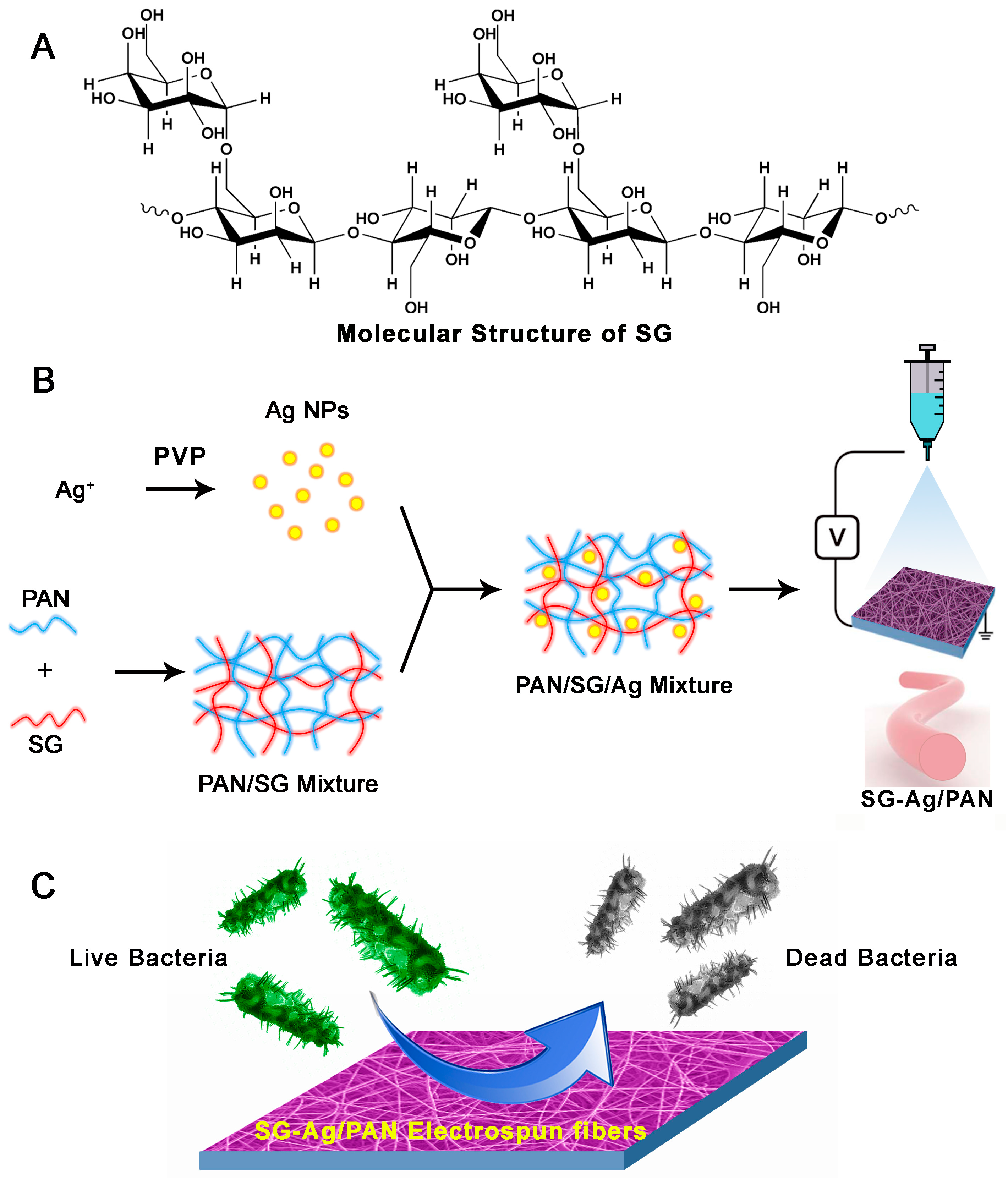 Nanomaterials 09 00592 g001