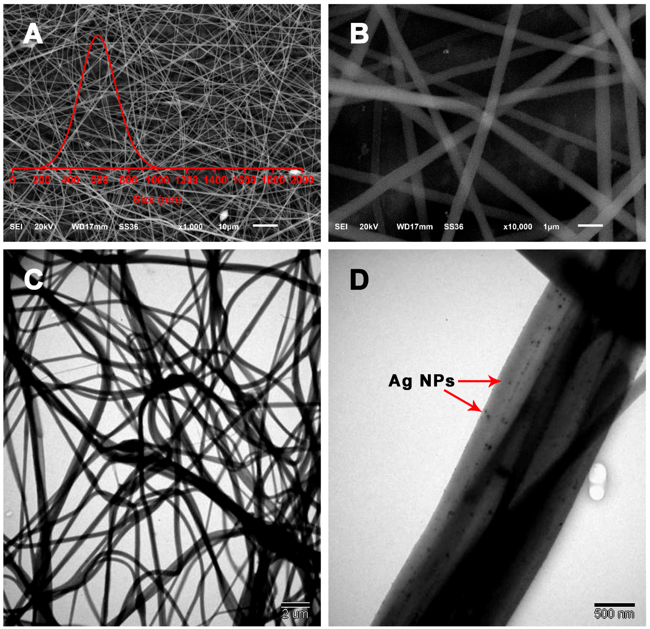 Nanomaterials 09 00592 g002