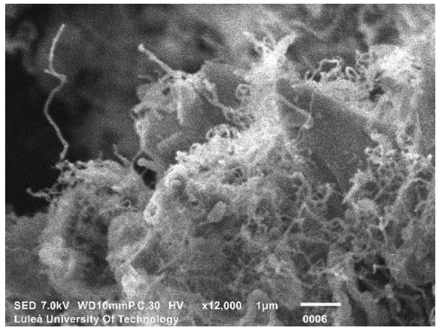 Nanomaterials 09 00594 g005
