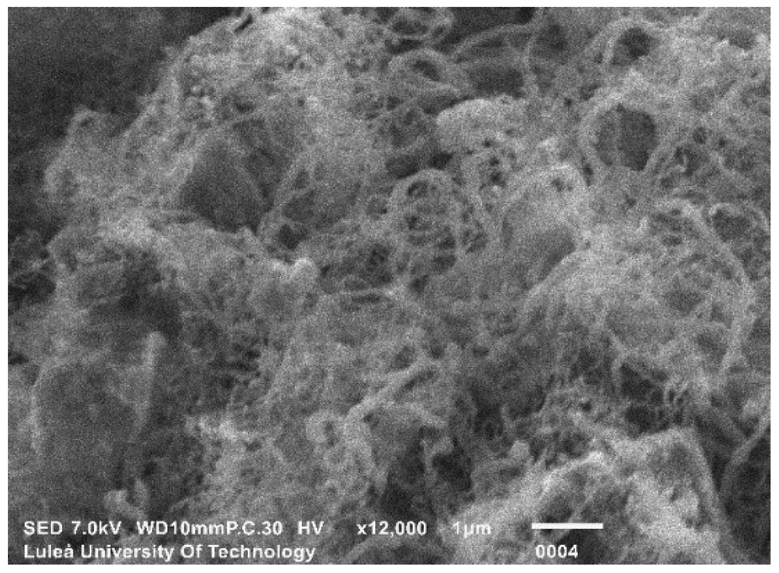 Nanomaterials 09 00594 g006