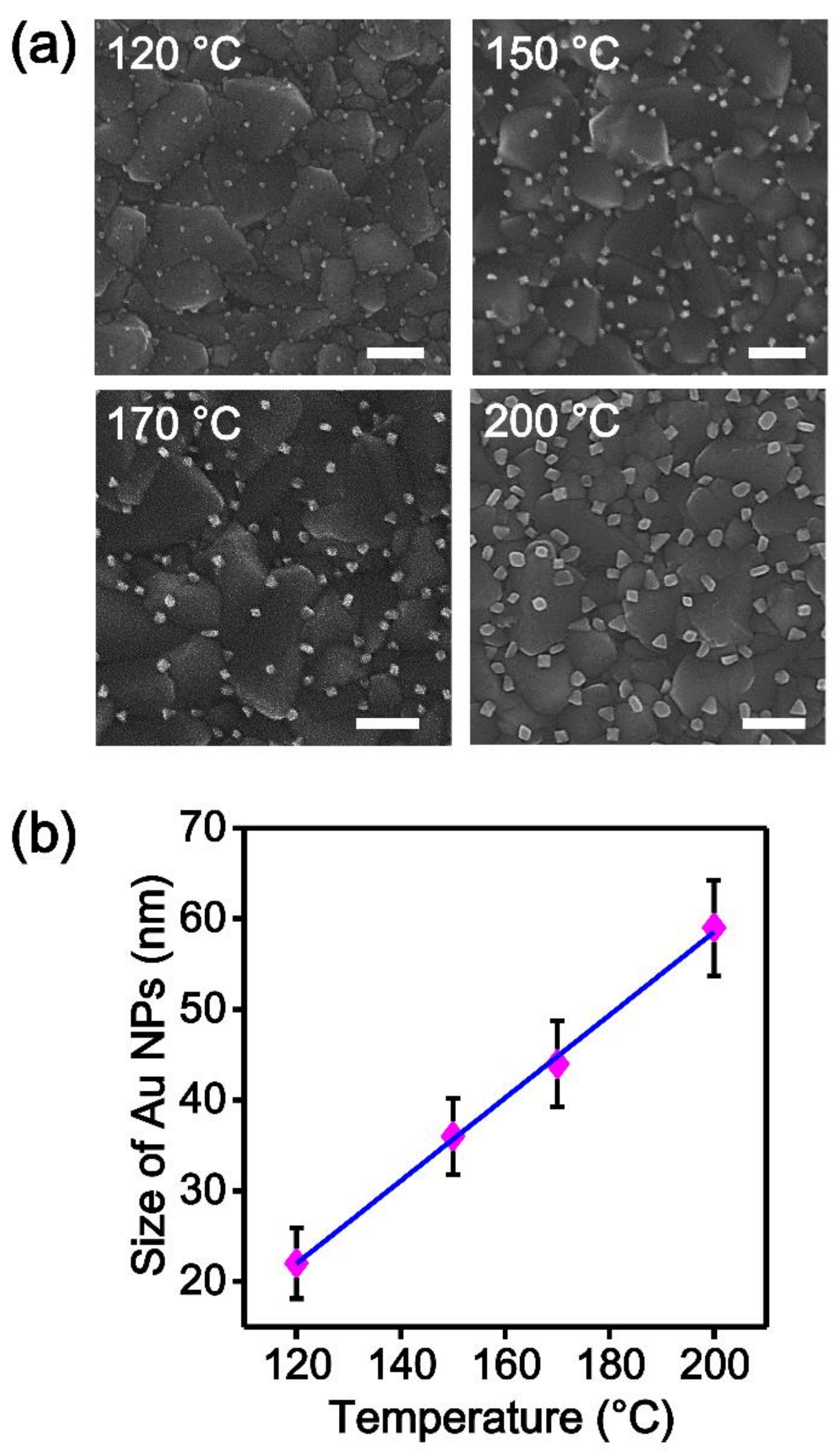 Nanomaterials 09 00595 g003