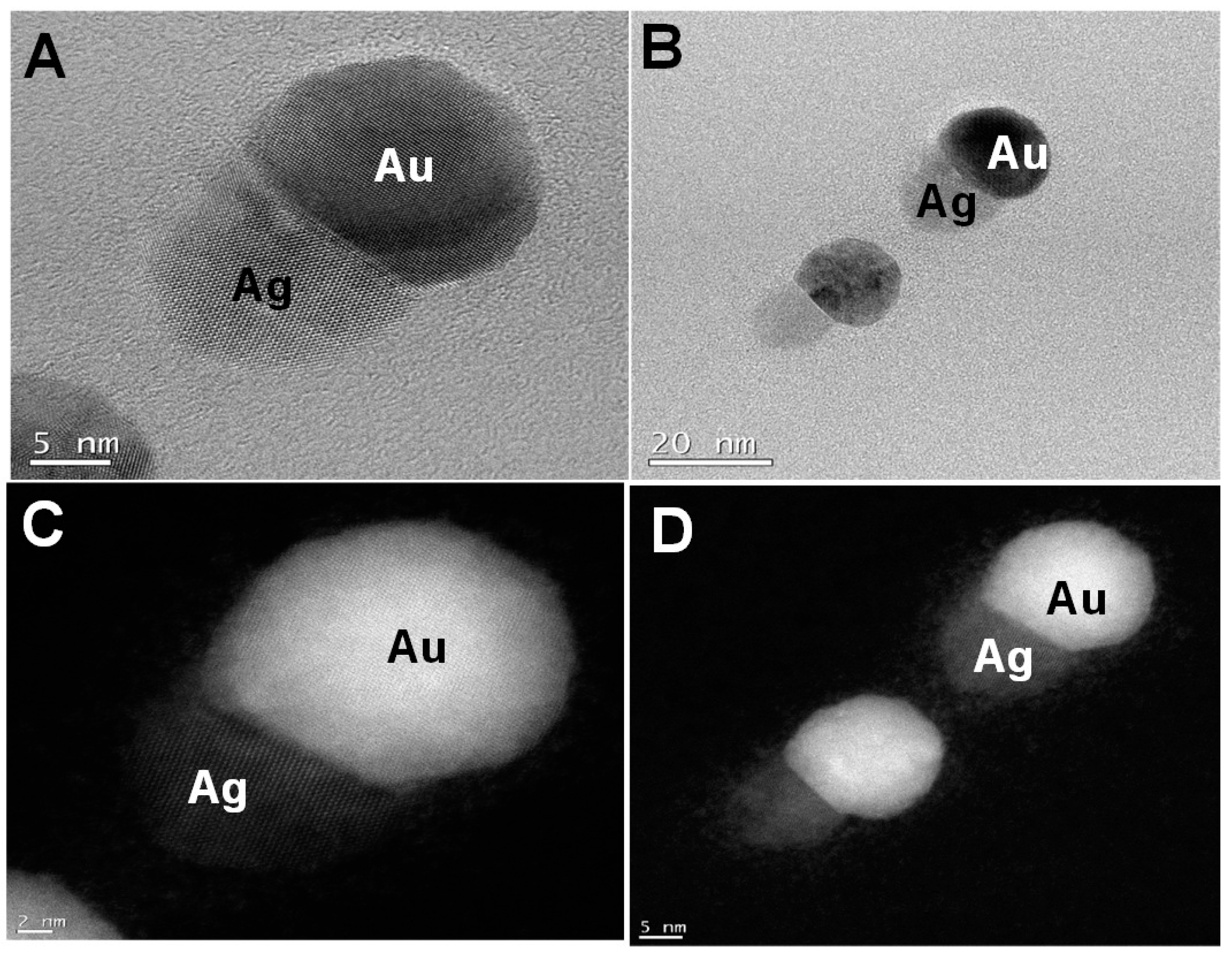 Nanomaterials 09 00596 g003