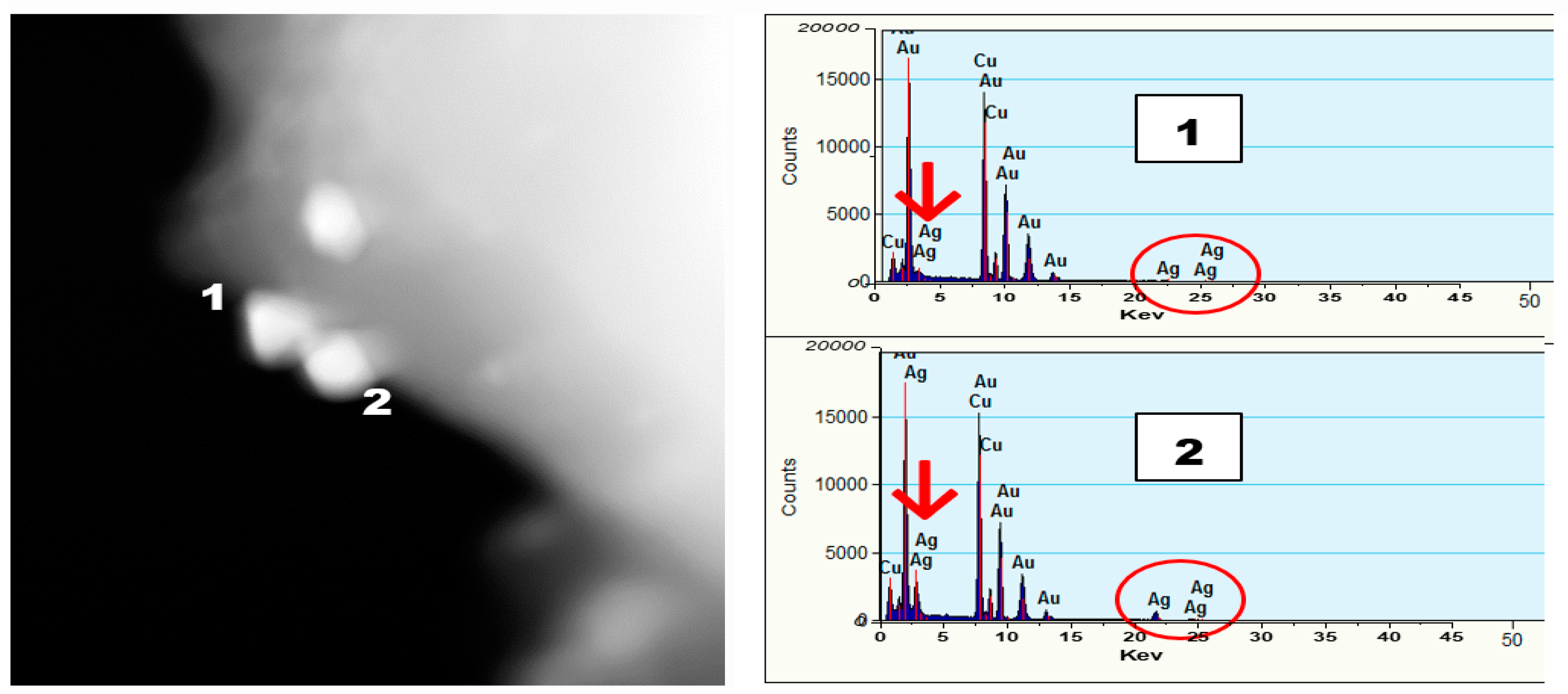 Nanomaterials 09 00596 g007