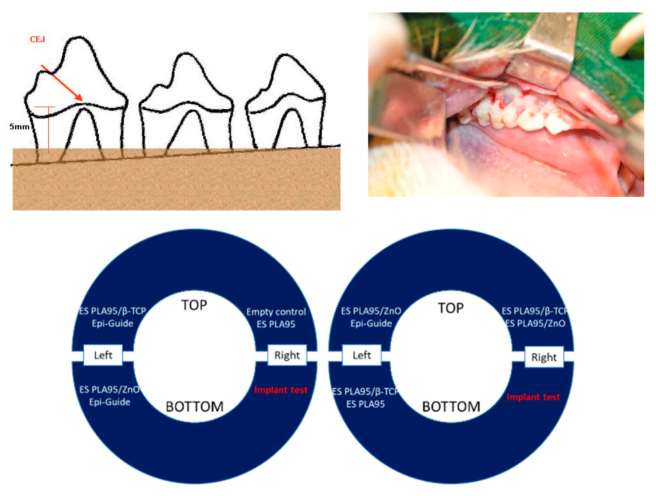 Nanomaterials 09 00599 g002