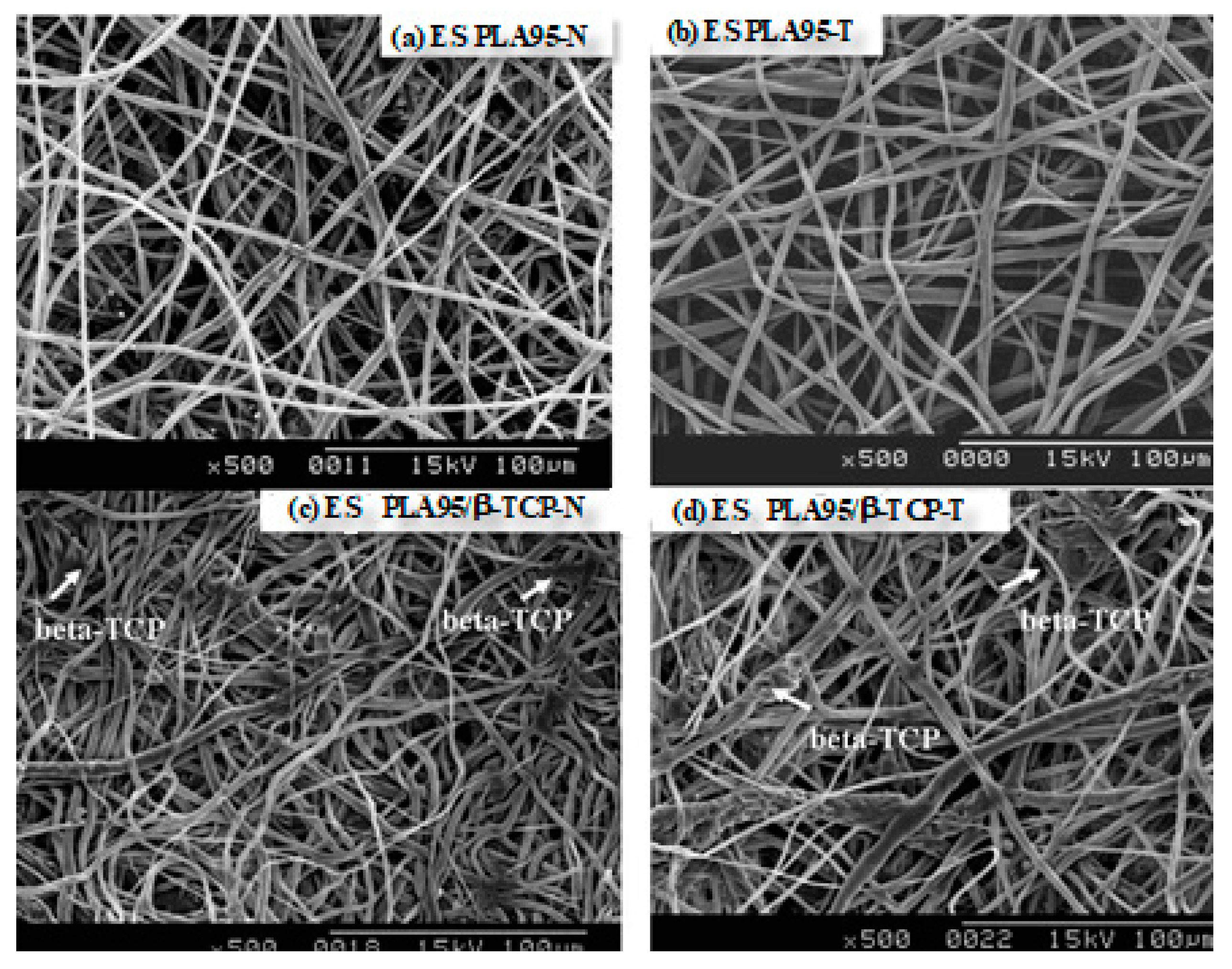 Nanomaterials 09 00599 g003