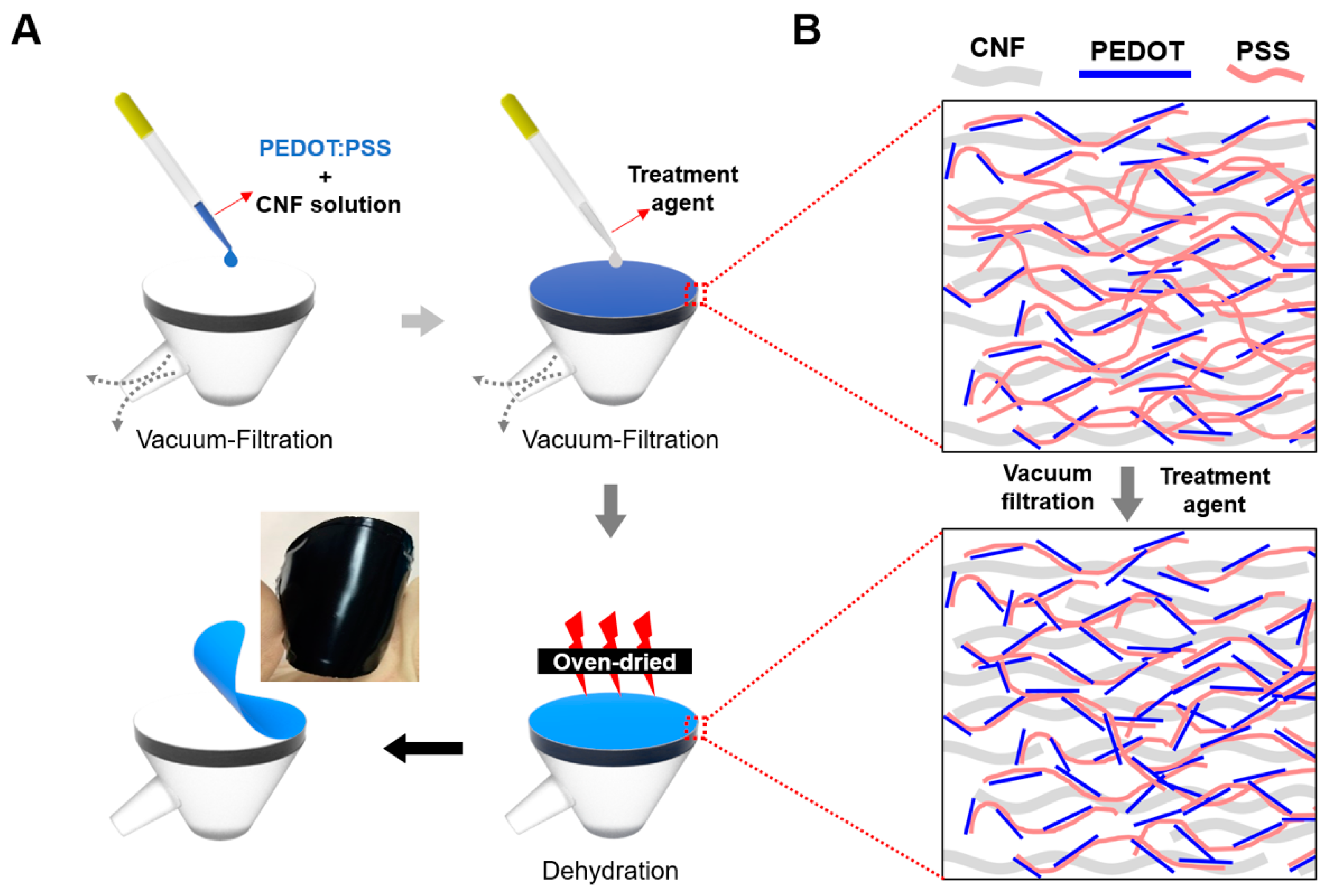 Nanomaterials 09 00612 g001