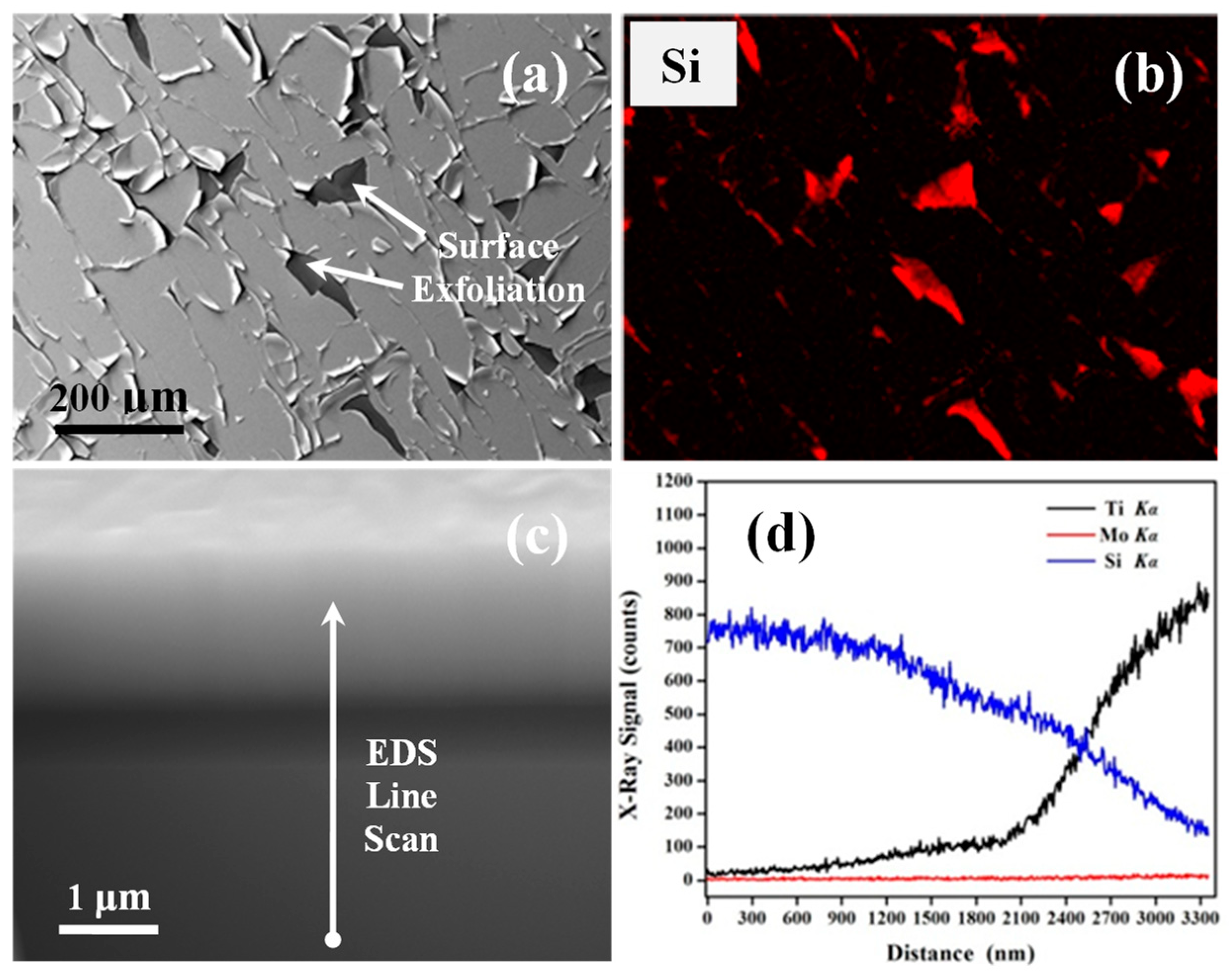 Nanomaterials 09 00616 g004 Nanomaterials 09 00616 g004