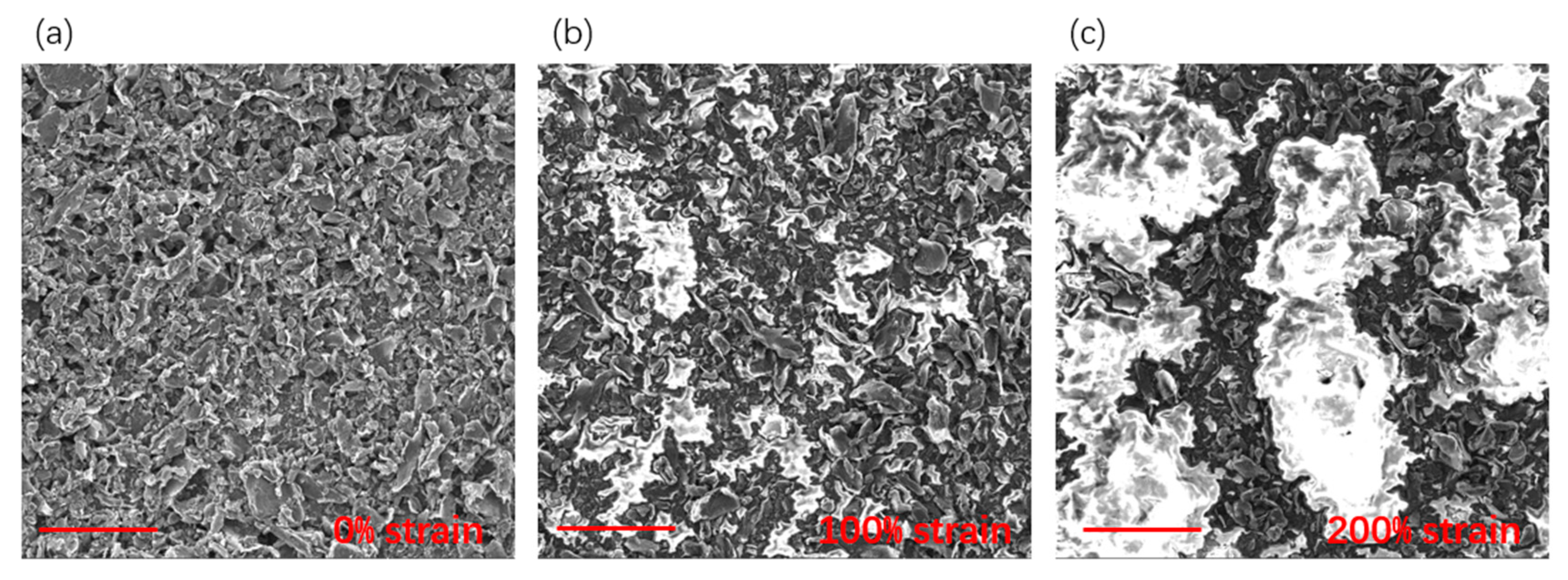 Nanomaterials 09 00617 g004
