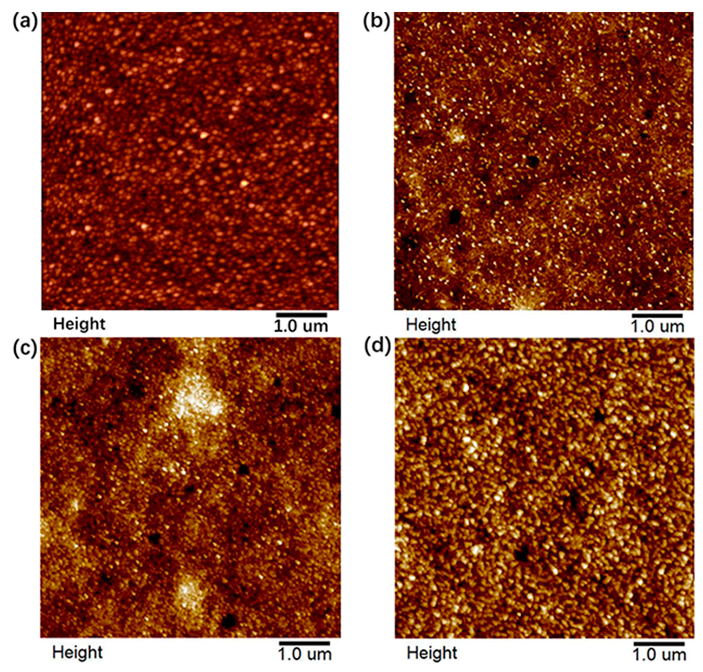 Nanomaterials 09 00626 g001 Nanomaterials 09 00626 g001