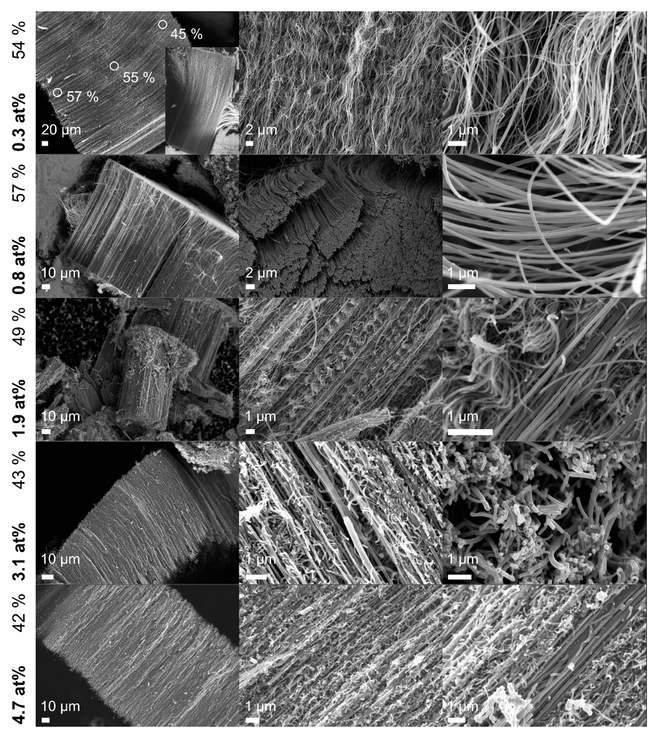 Nanomaterials 09 00643 g011