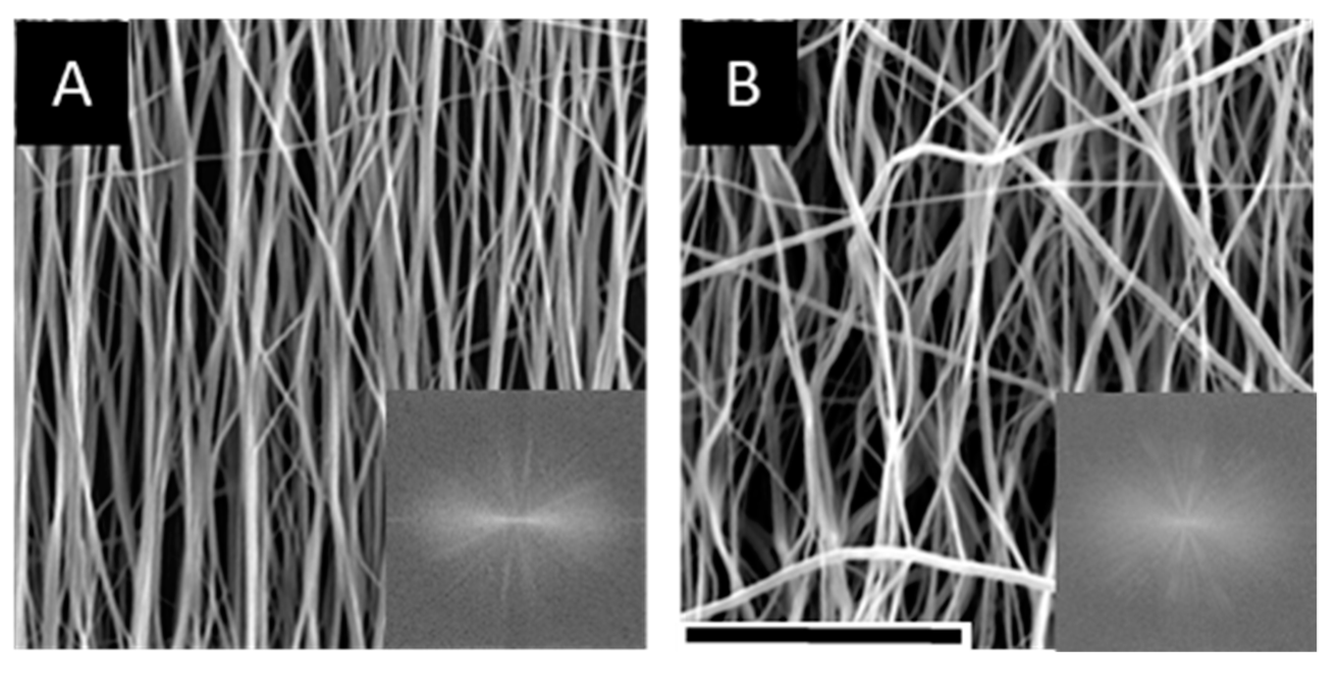 Nanomaterials 09 00644 g002 Nanomaterials 09 00644 g002