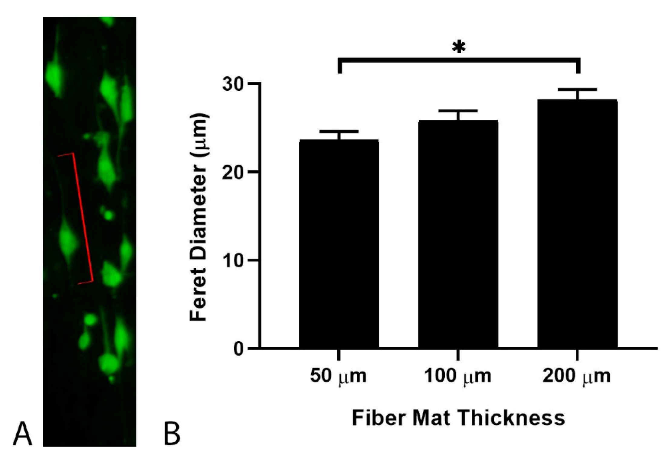 Nanomaterials 09 00644 g003 Nanomaterials 09 00644 g003