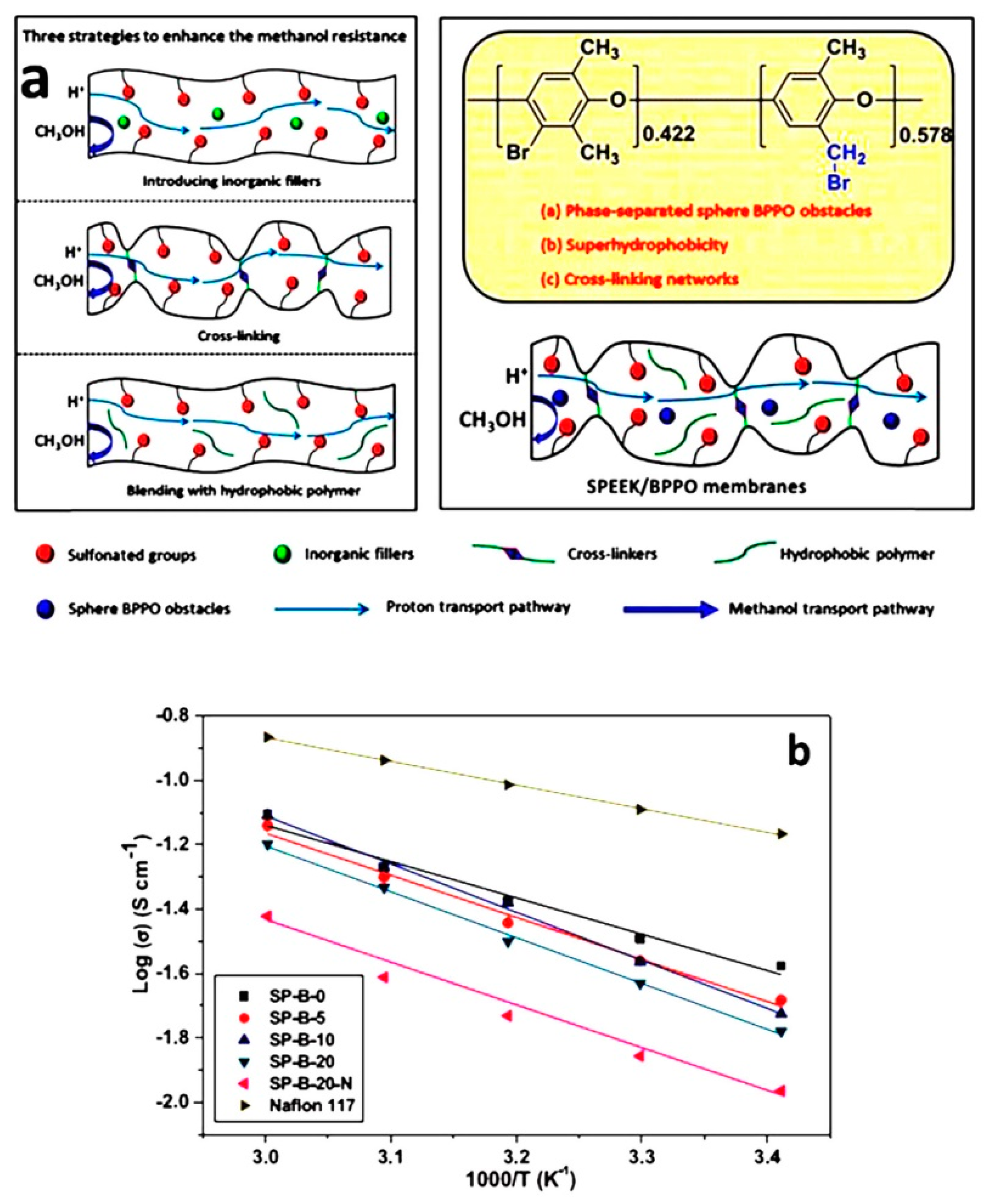 Nanomaterials 09 00668 g006 Nanomaterials 09 00668 g006
