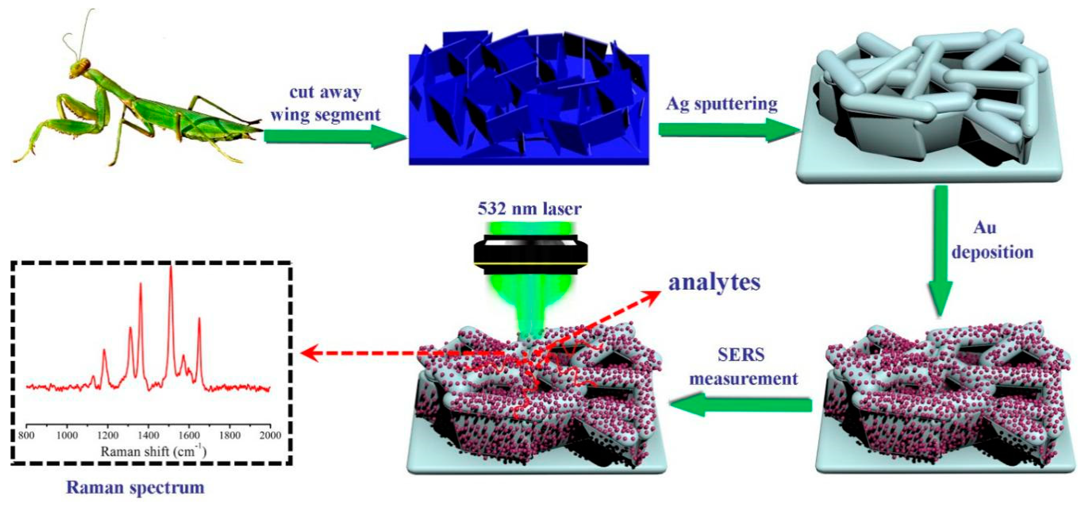 Nanomaterials 09 00672 g001 Nanomaterials 09 00672 g001