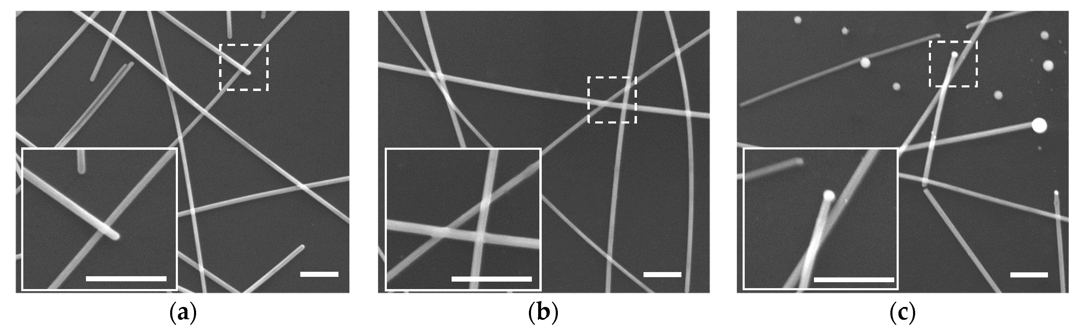 Nanomaterials 09 00673 g002 Nanomaterials 09 00673 g002