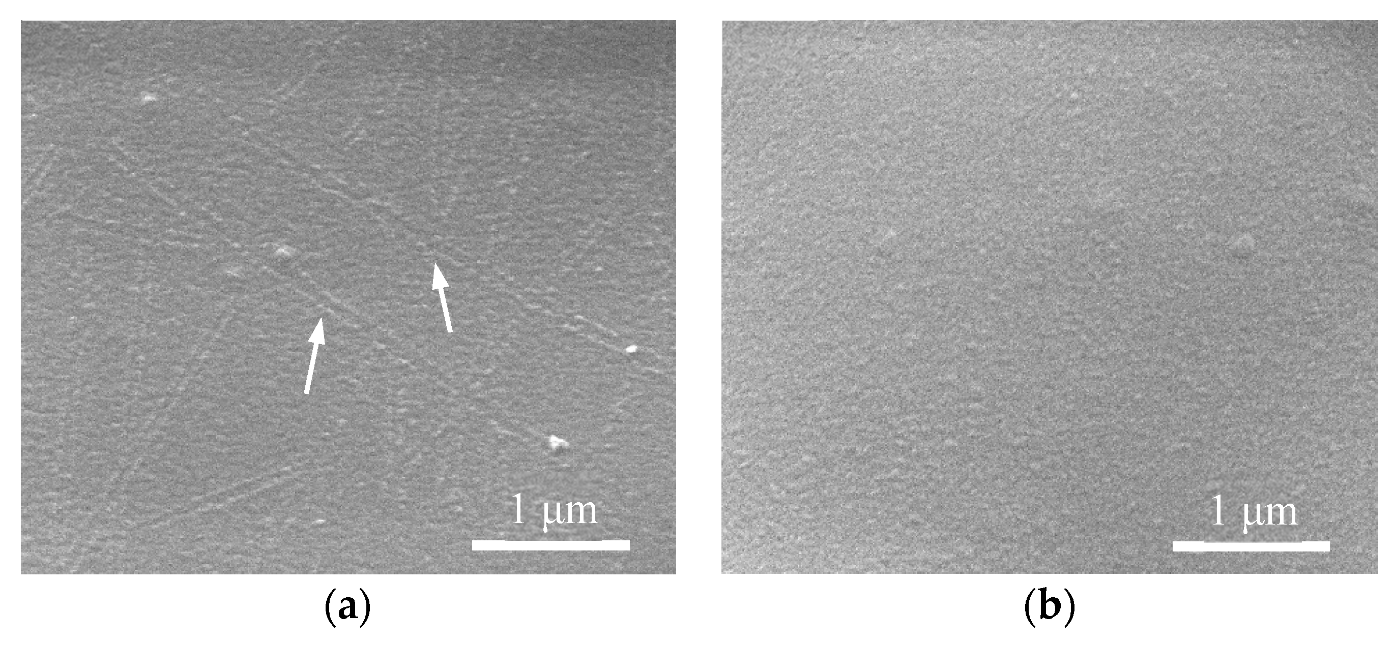 Nanomaterials 09 00673 g008 Nanomaterials 09 00673 g008
