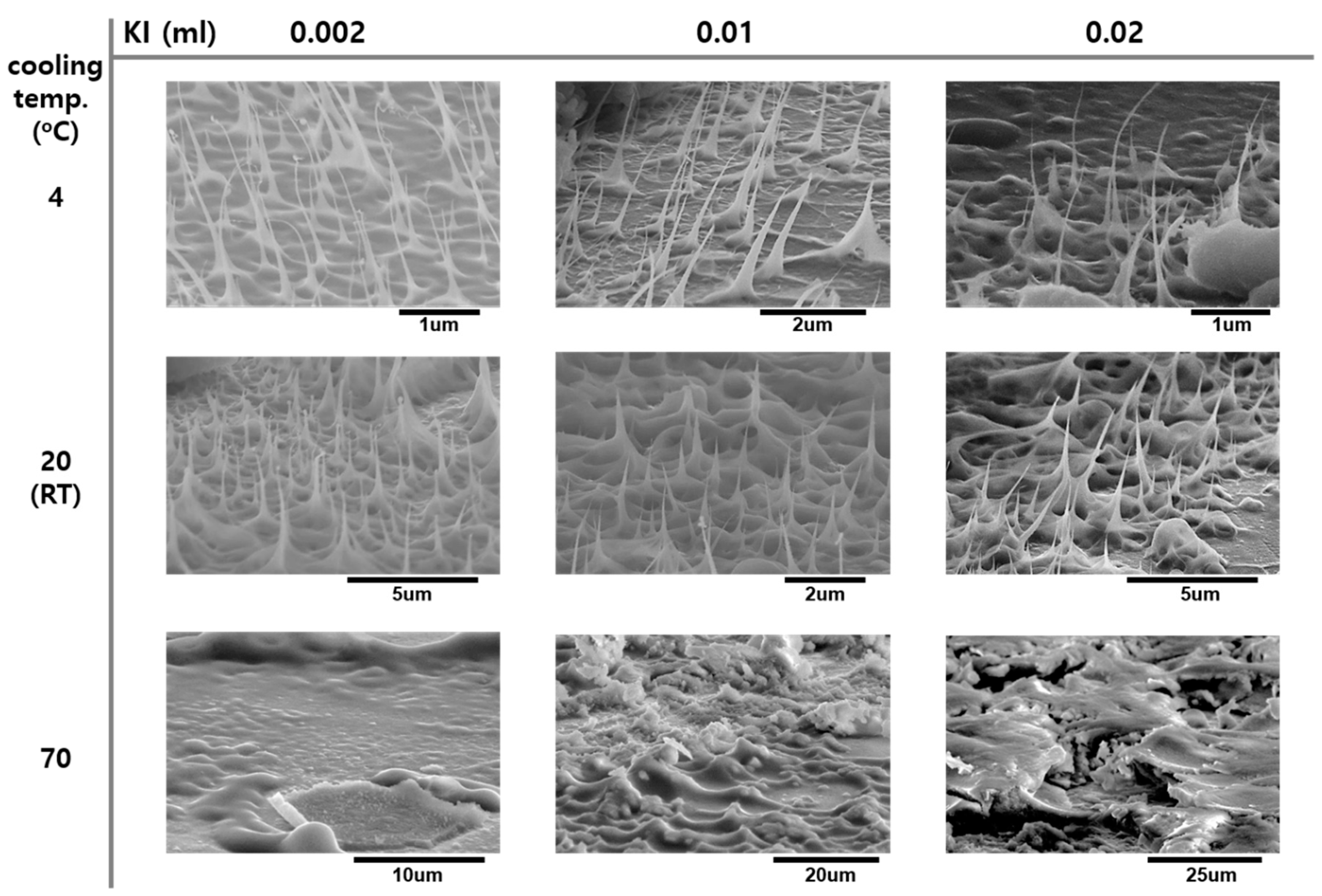 Nanomaterials 09 00680 g005