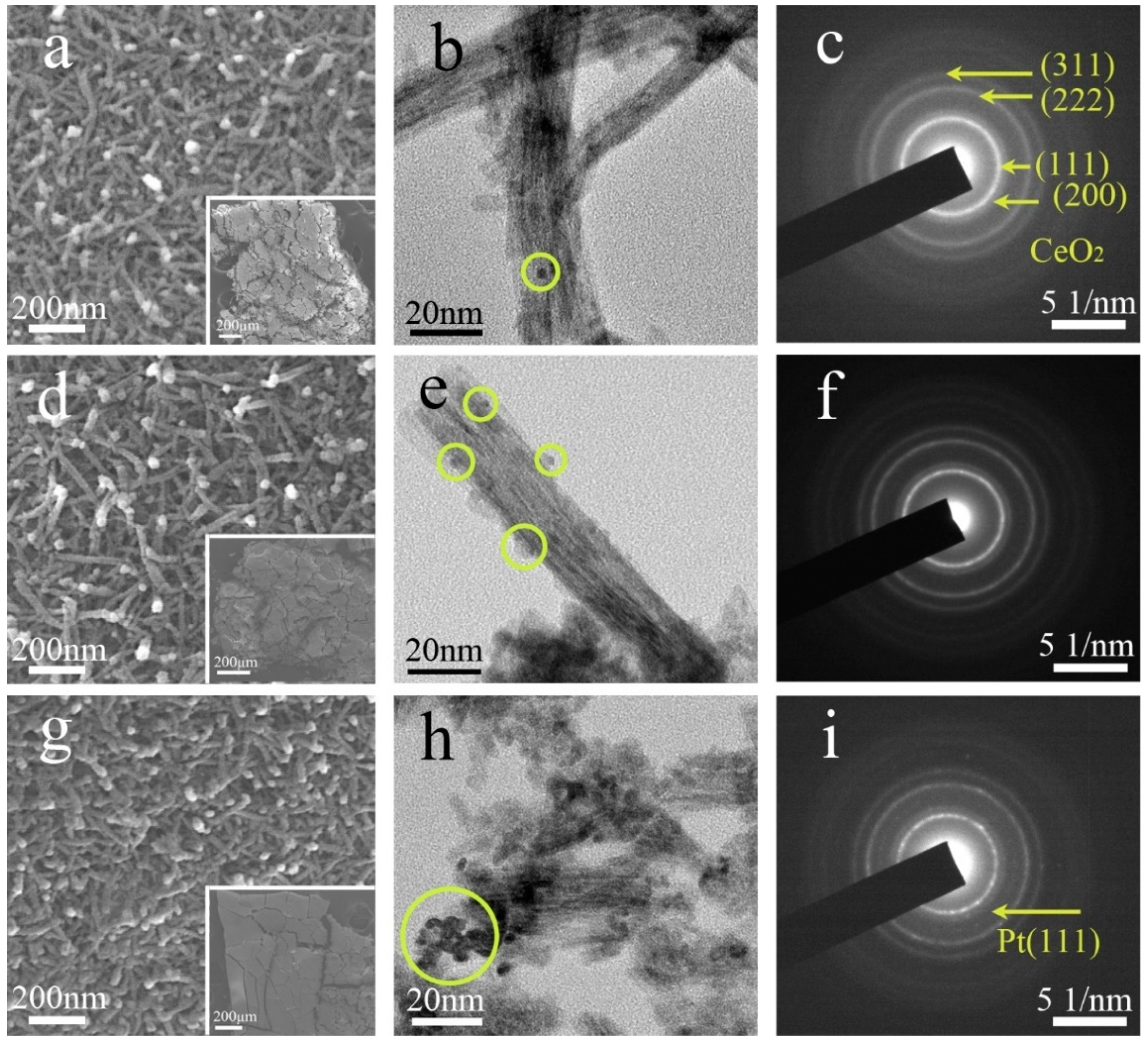 Nanomaterials 09 00683 g002