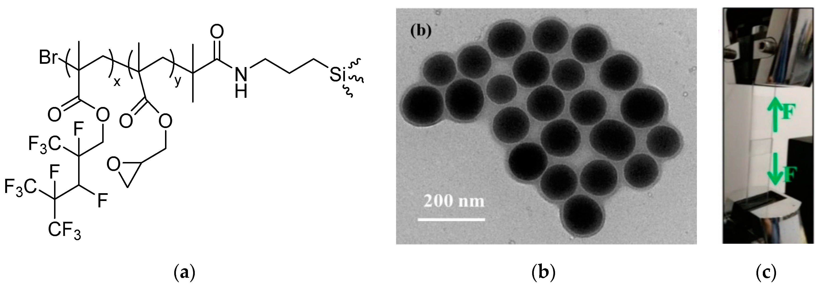 Nanomaterials 09 00684 g004 Nanomaterials 09 00684 g004