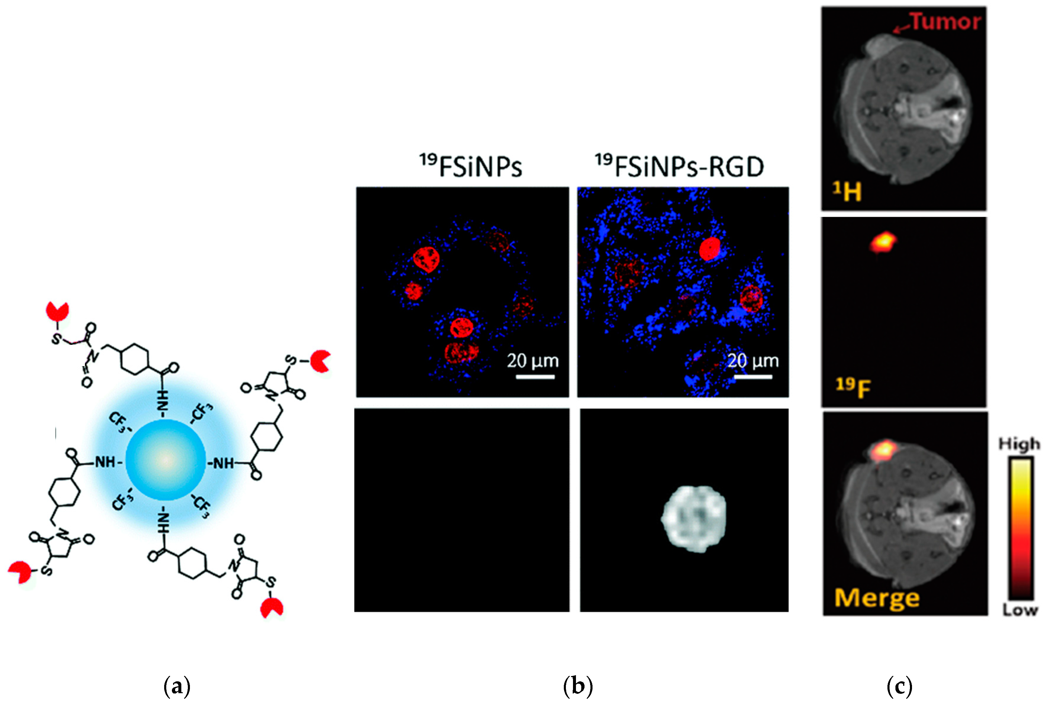 Nanomaterials 09 00684 g010 Nanomaterials 09 00684 g010