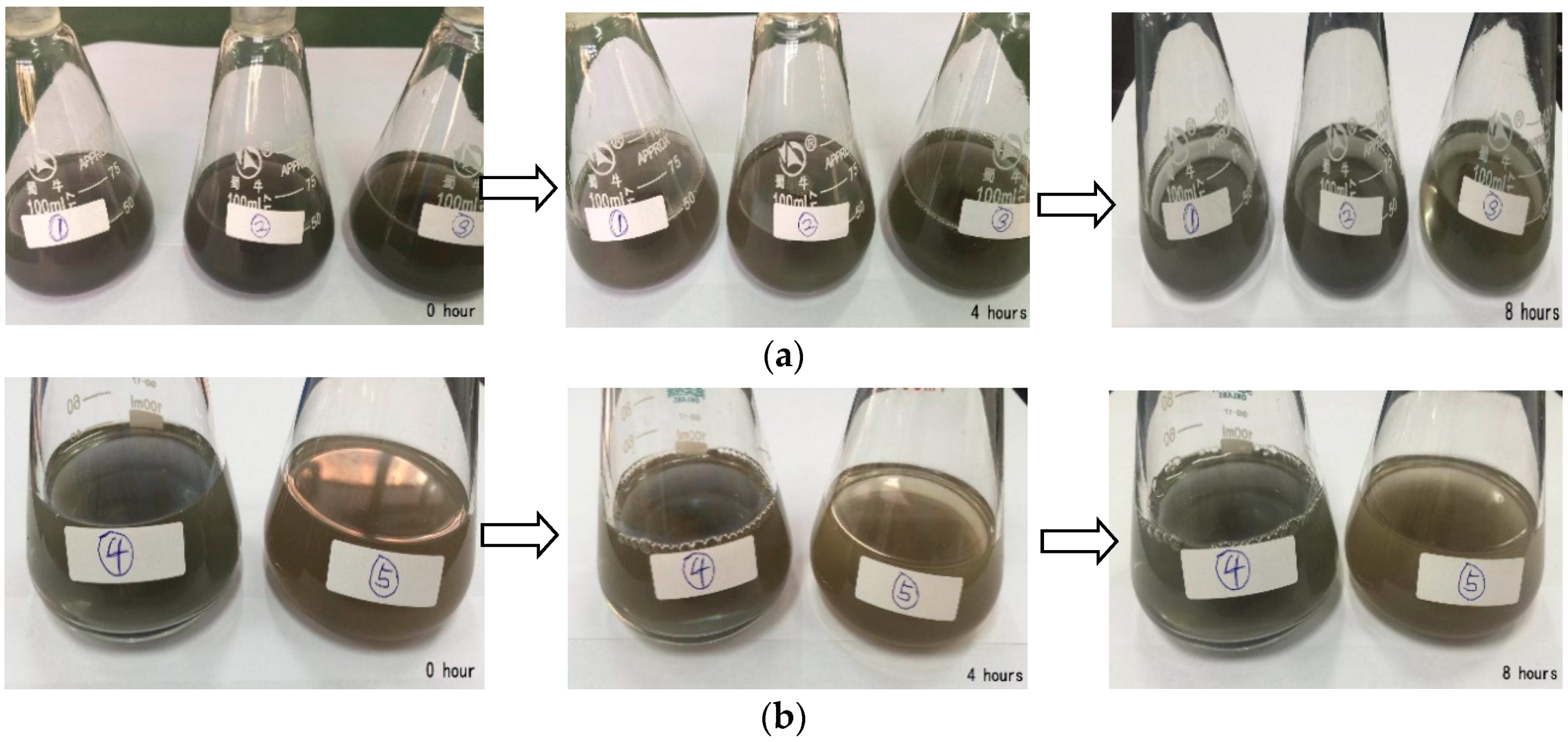 Nanomaterials 09 00690 g007 Nanomaterials 09 00690 g007