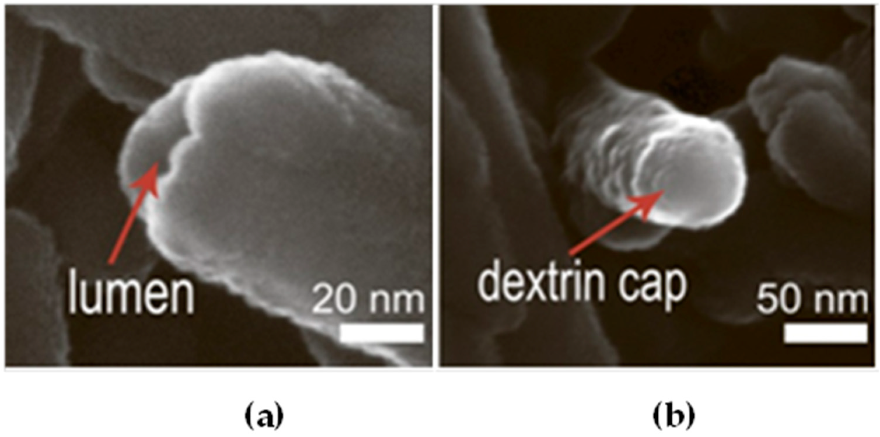 Nanomaterials 09 00708 g005
