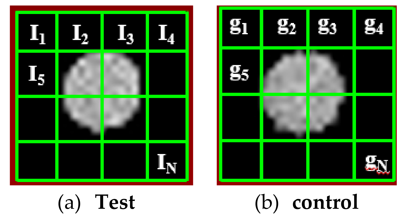 Nanomaterials 09 00709 g001