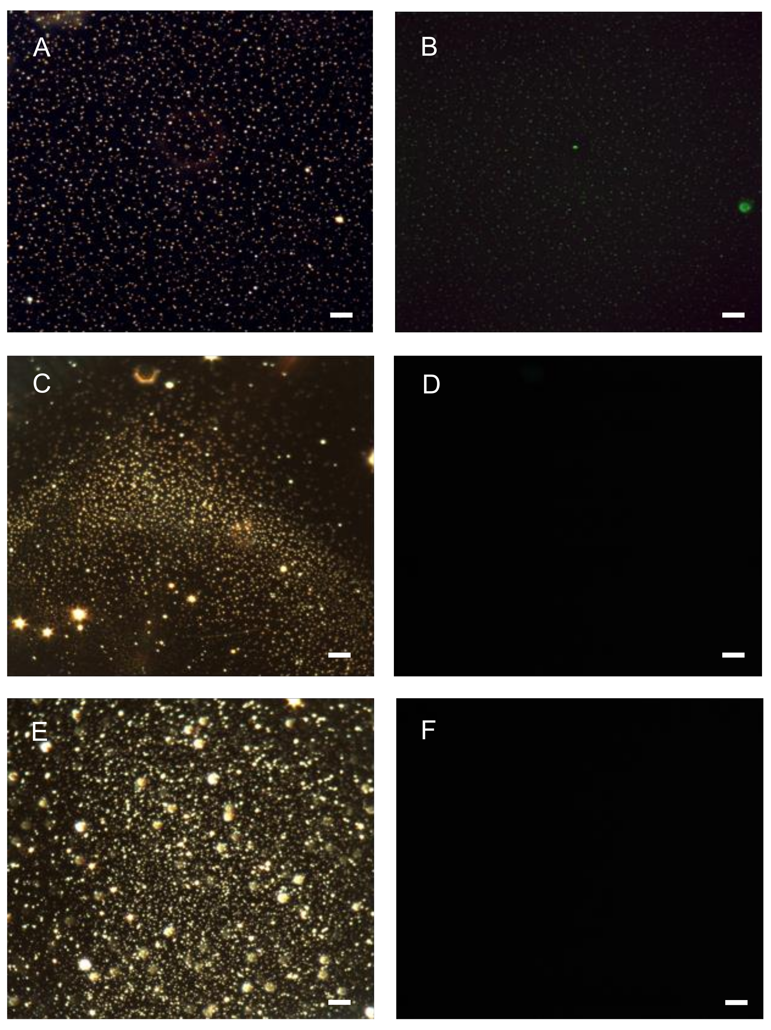 Nanomaterials 09 00709 g004