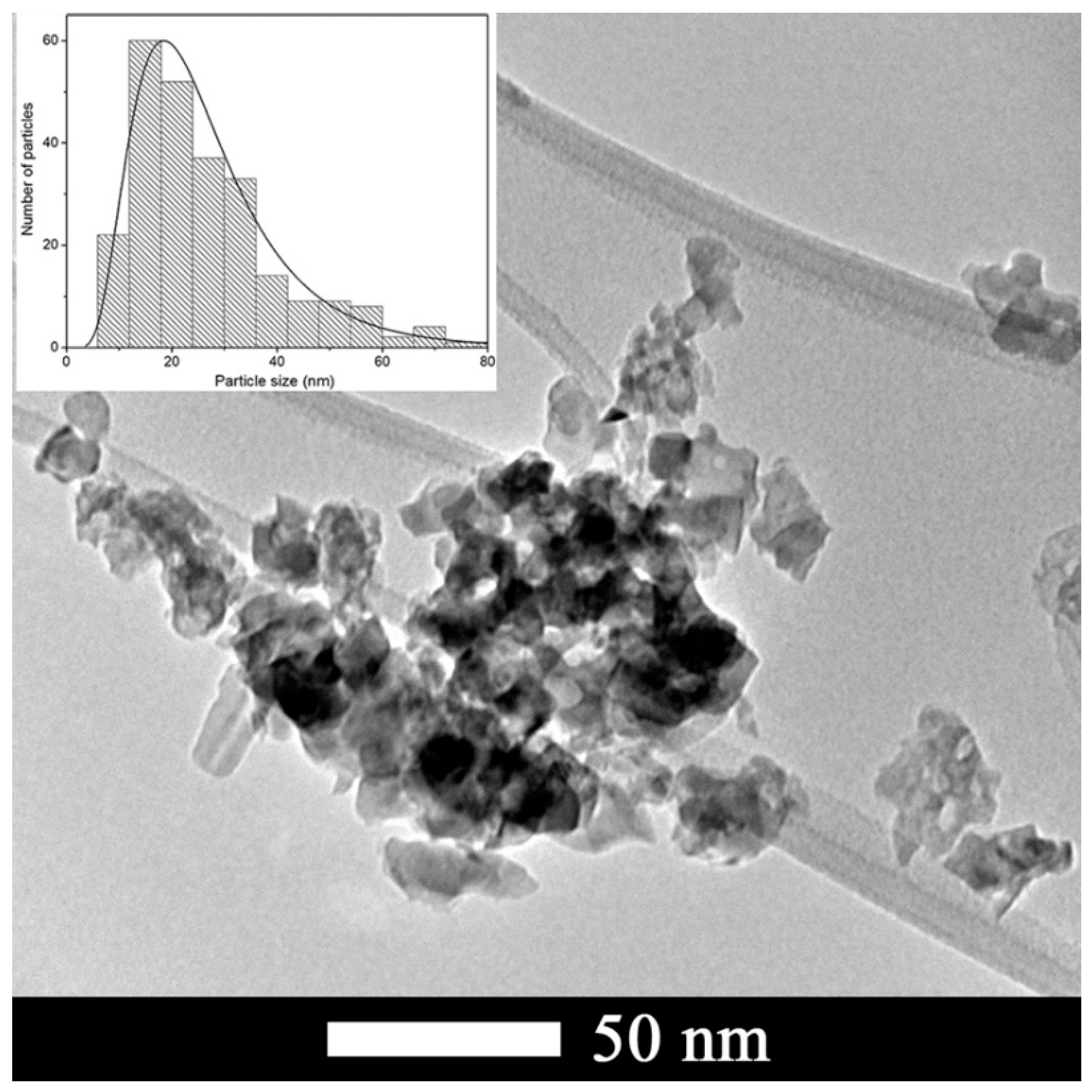 Nanomaterials 09 00733 g004