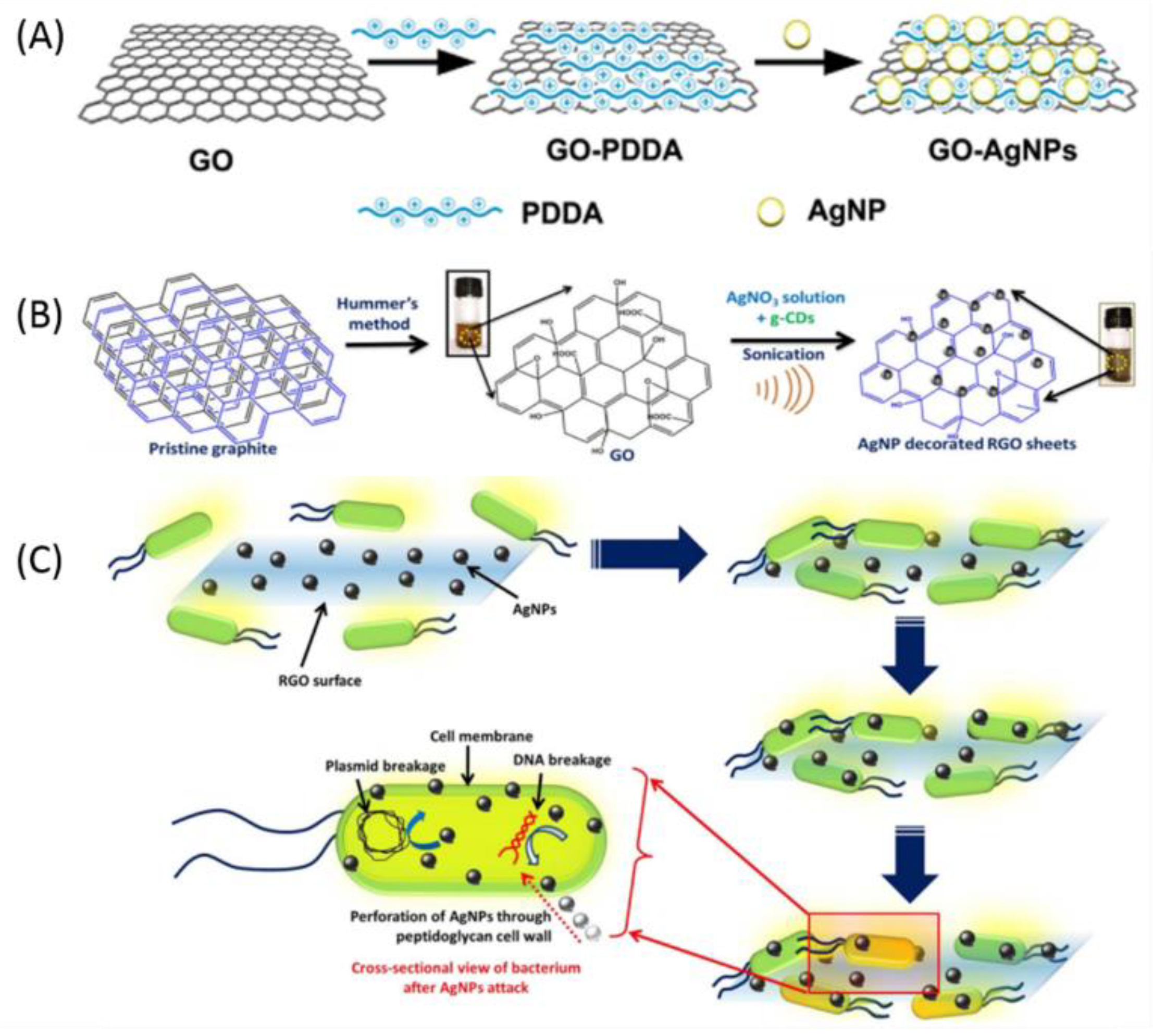 Nanomaterials 09 00737 g002