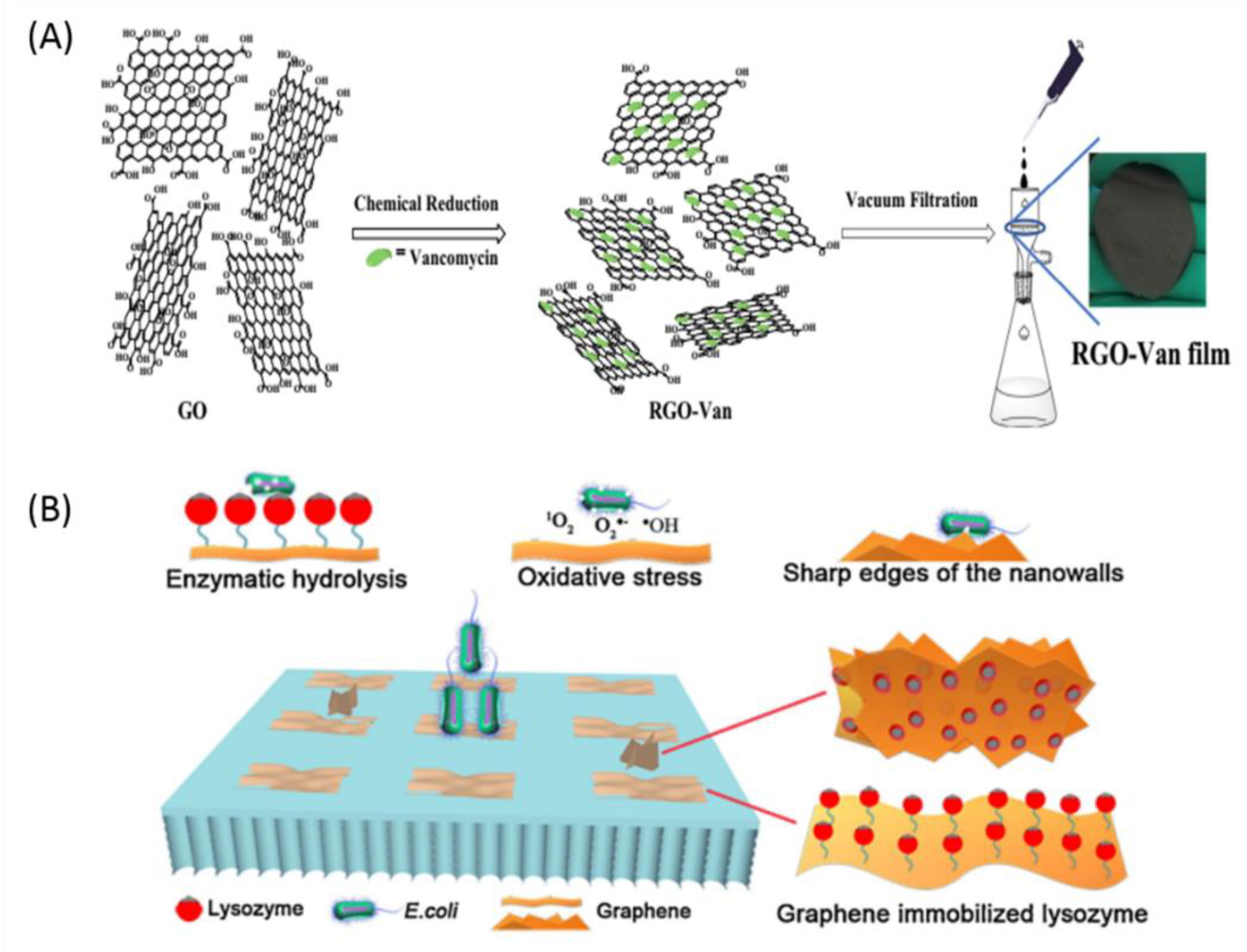Nanomaterials 09 00737 g005