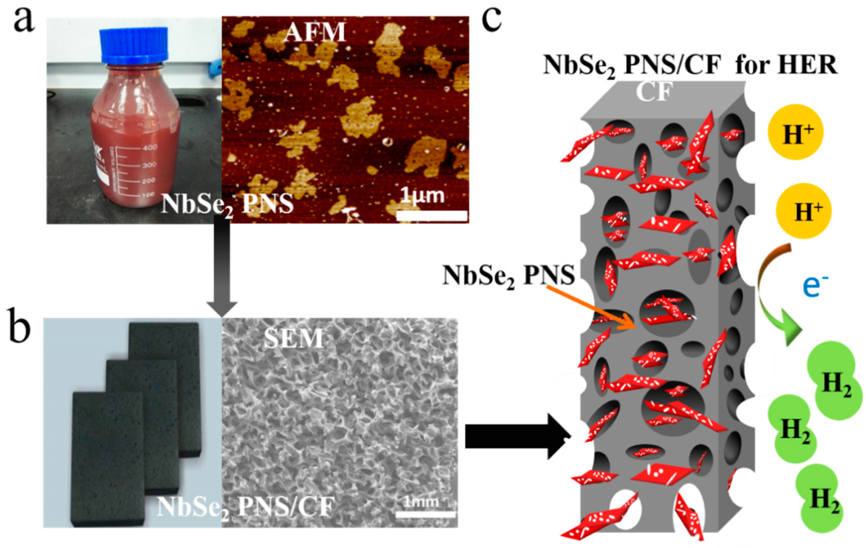Nanomaterials 09 00751 g002